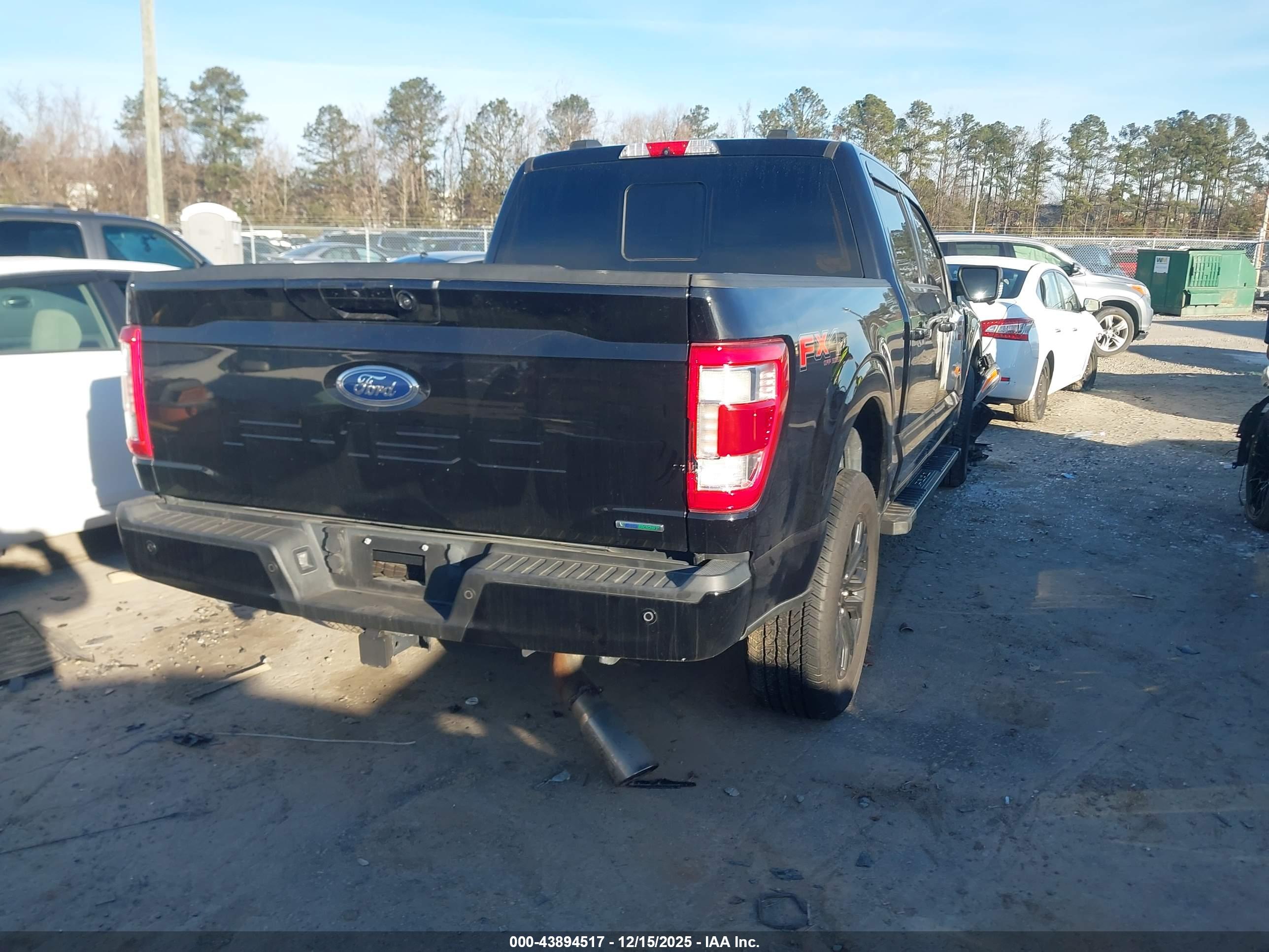 FORD F-150 image 4