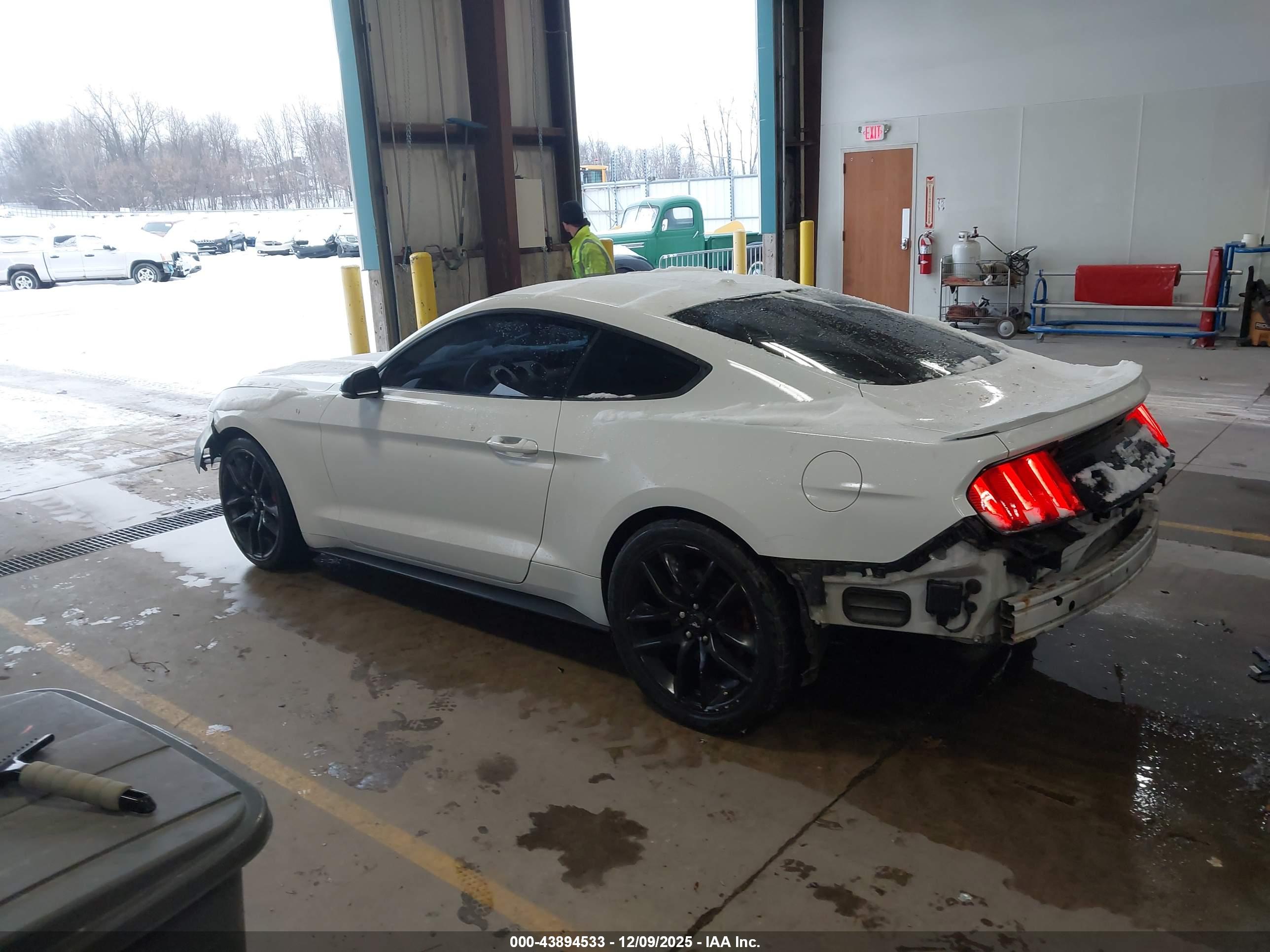 FORD MUSTANG image 3