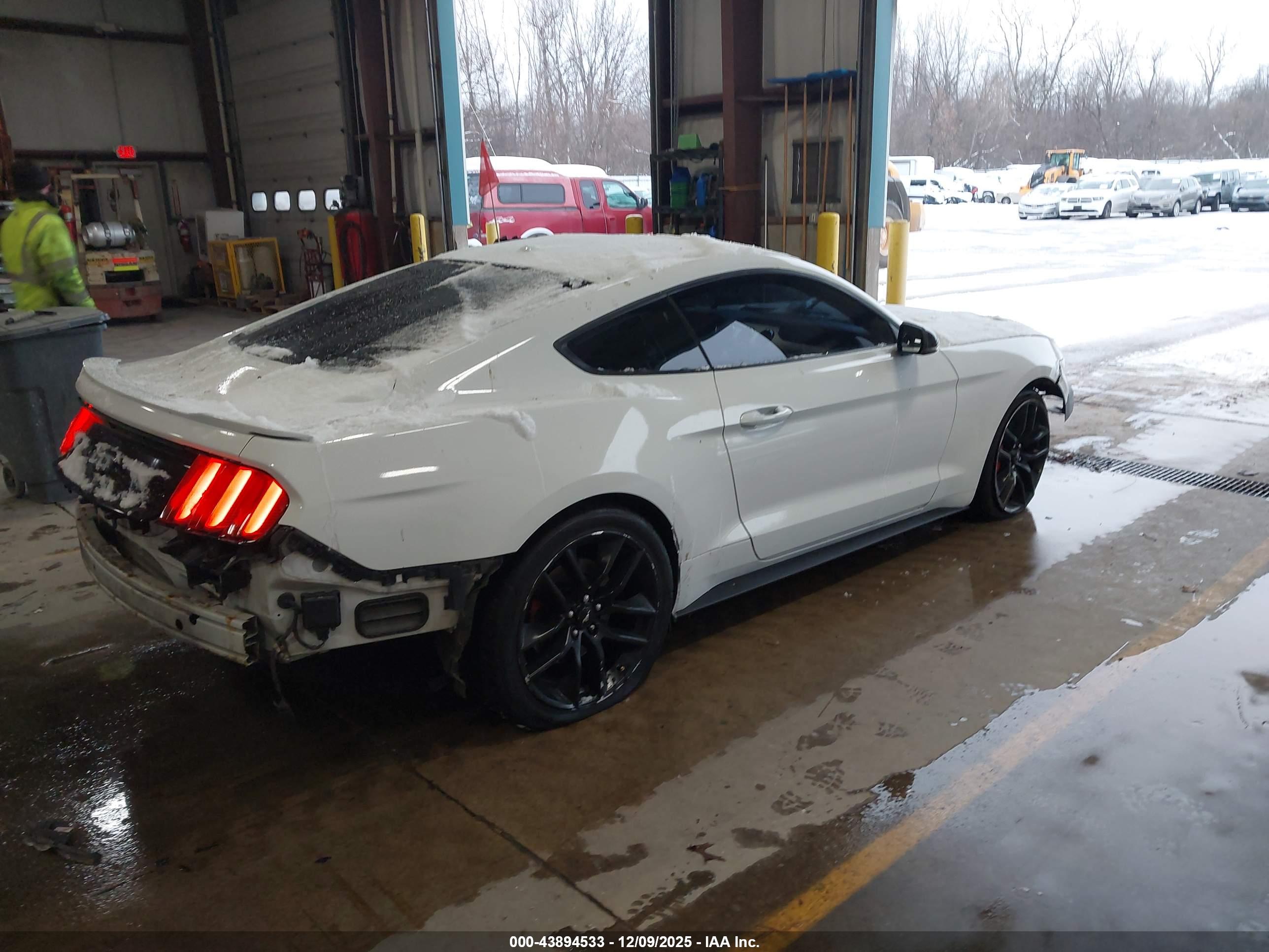 FORD MUSTANG image 4