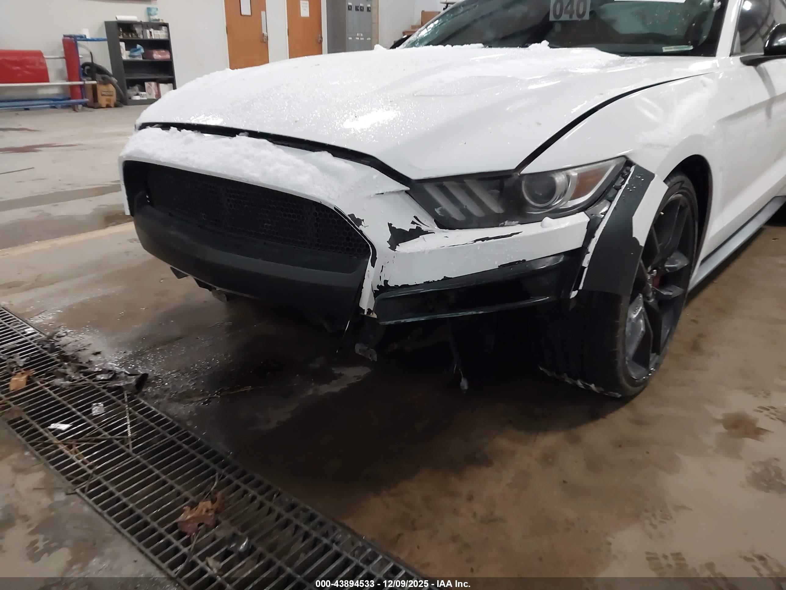 FORD MUSTANG image 6