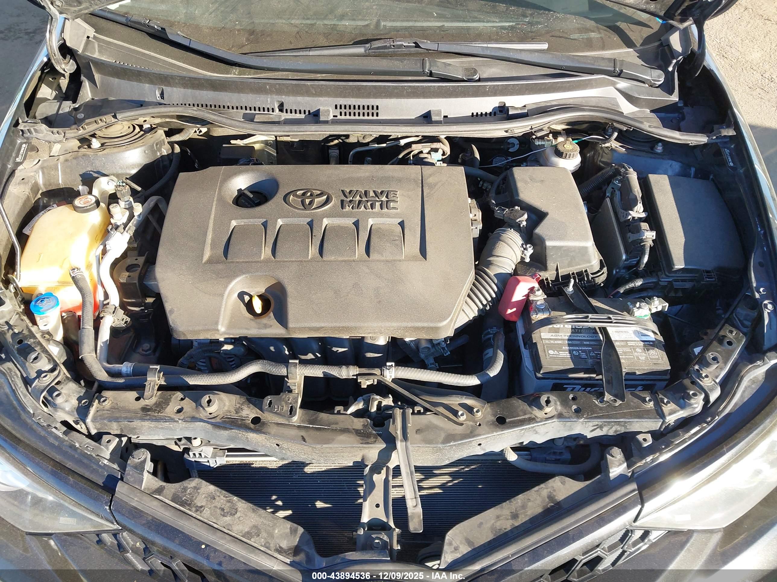 TOYOTA COROLLA image 10