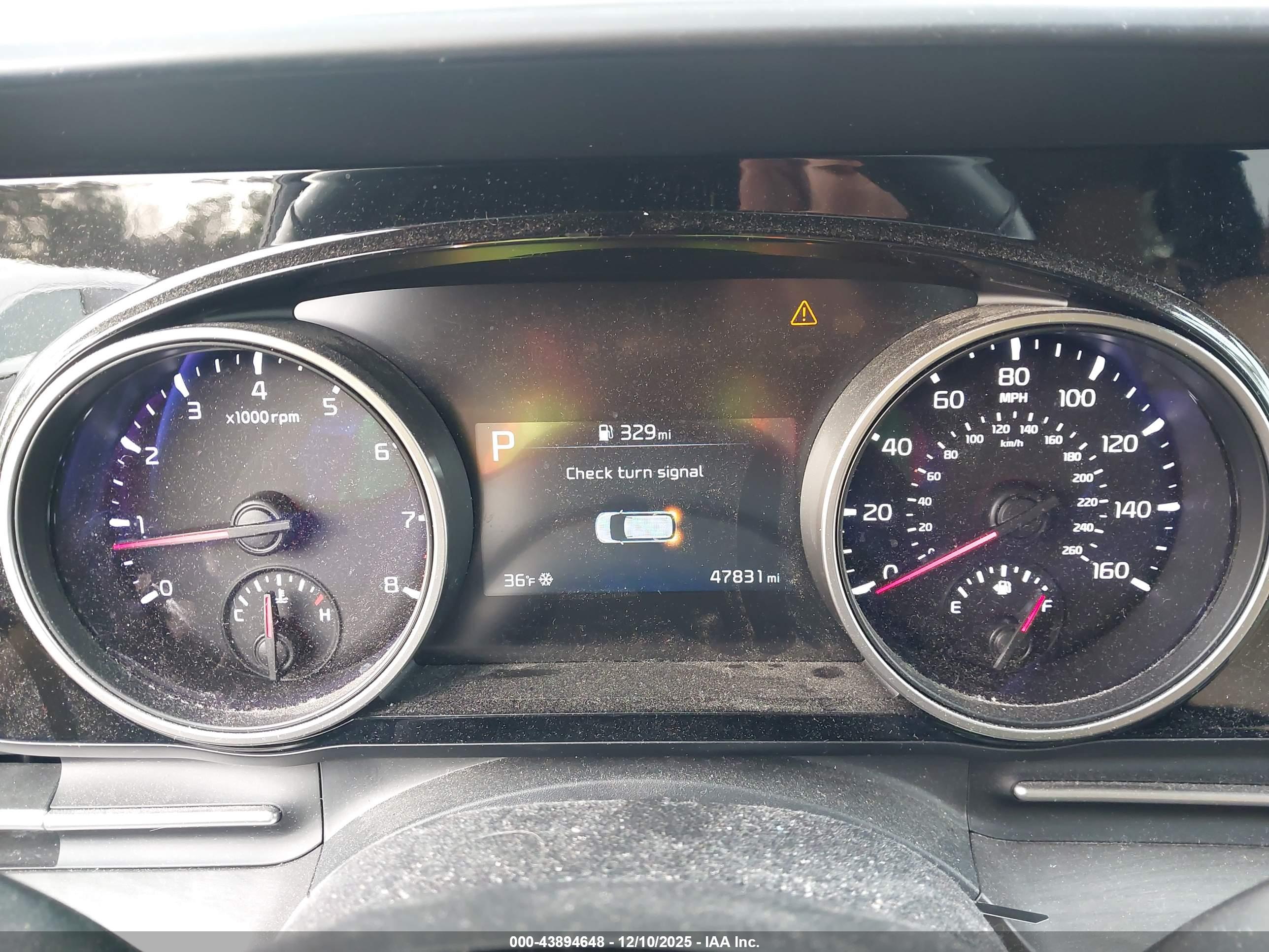 KIA CARNIVAL image 7