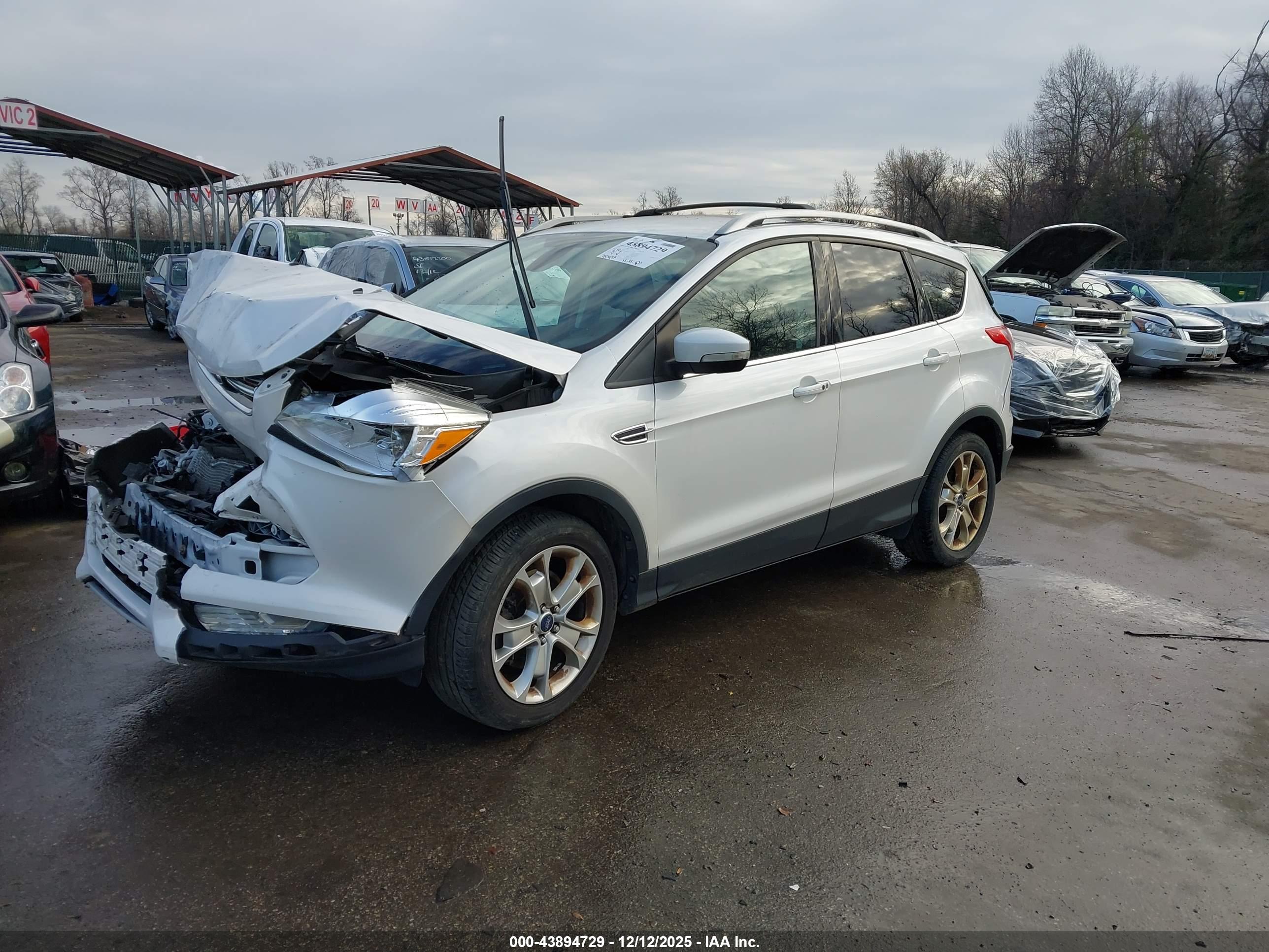 FORD ESCAPE image 2