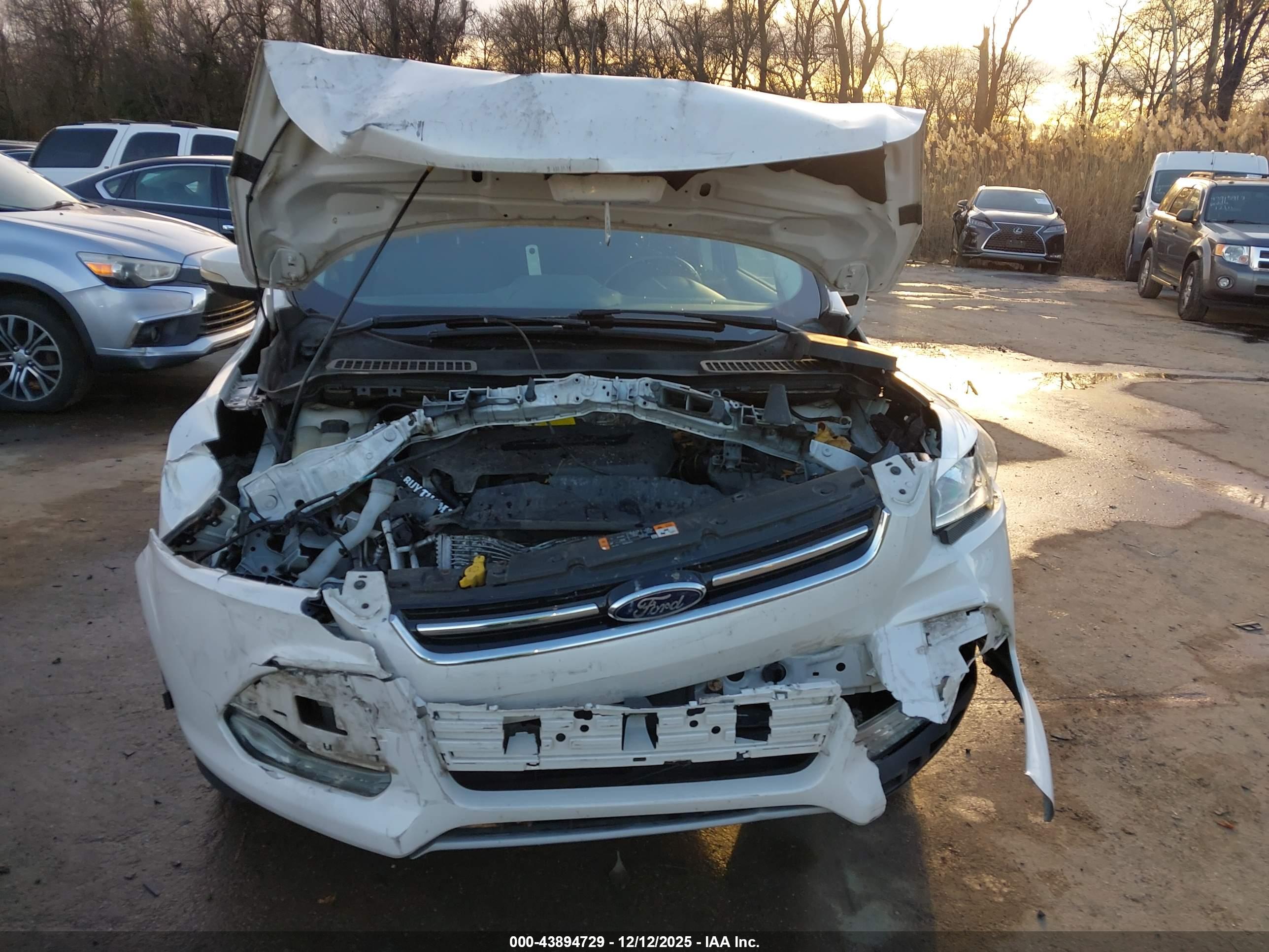 FORD ESCAPE image 6