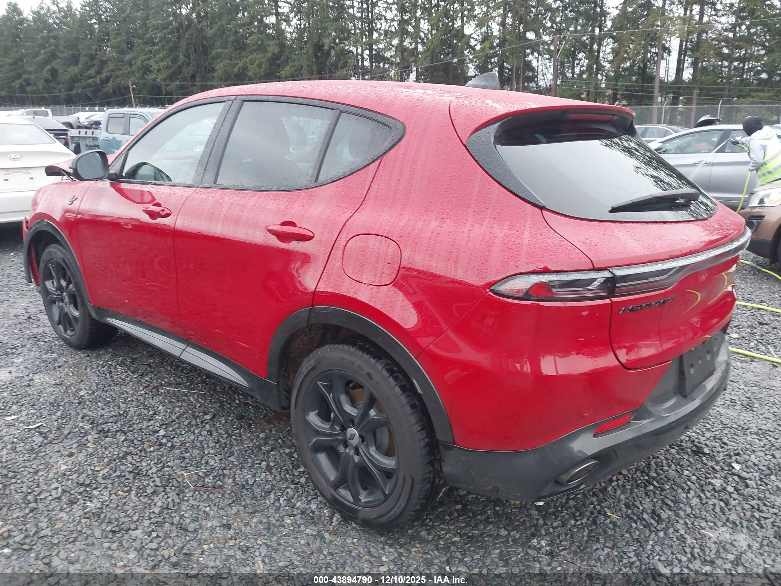 DODGE HORNET image 3