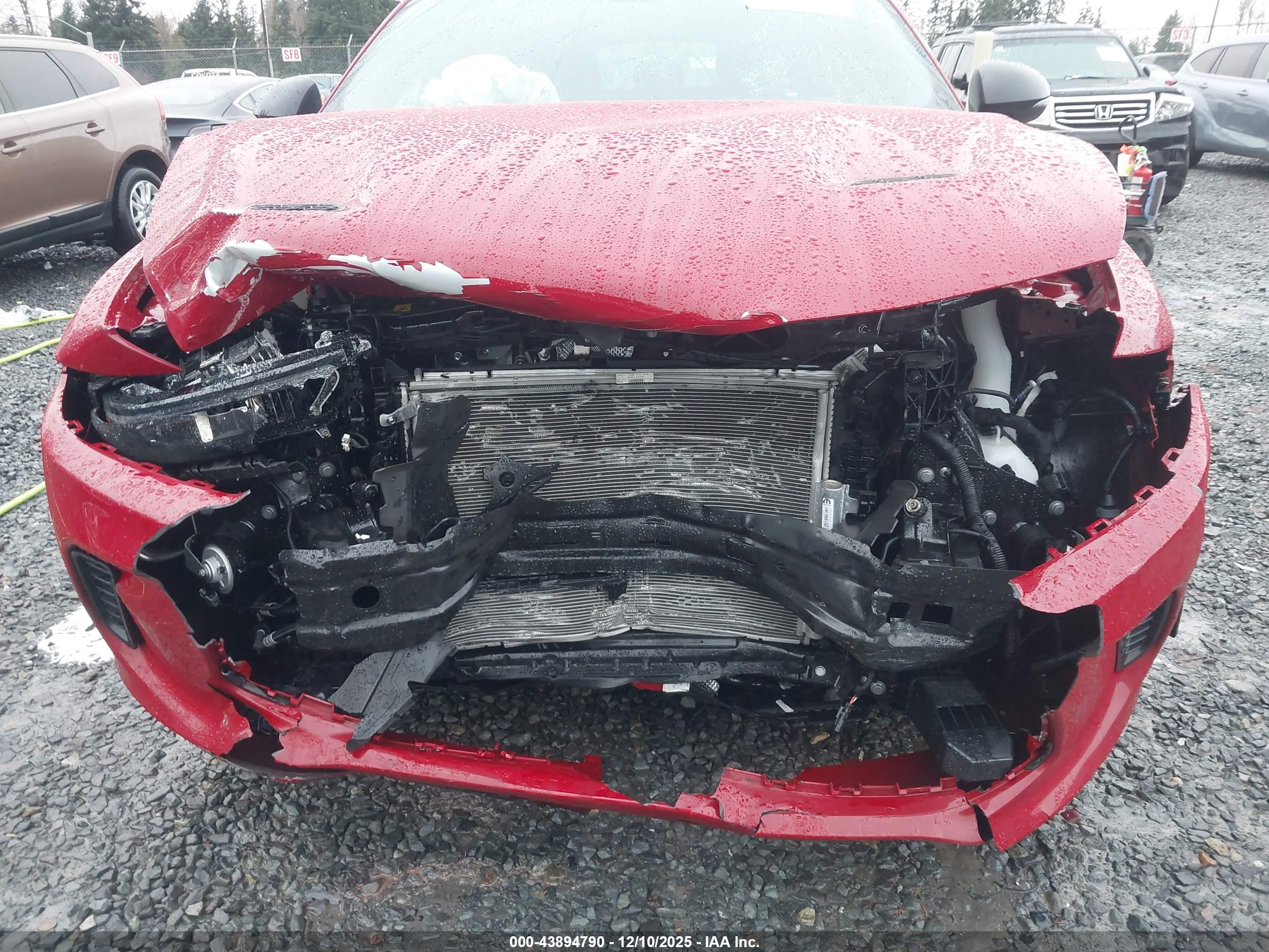DODGE HORNET image 6