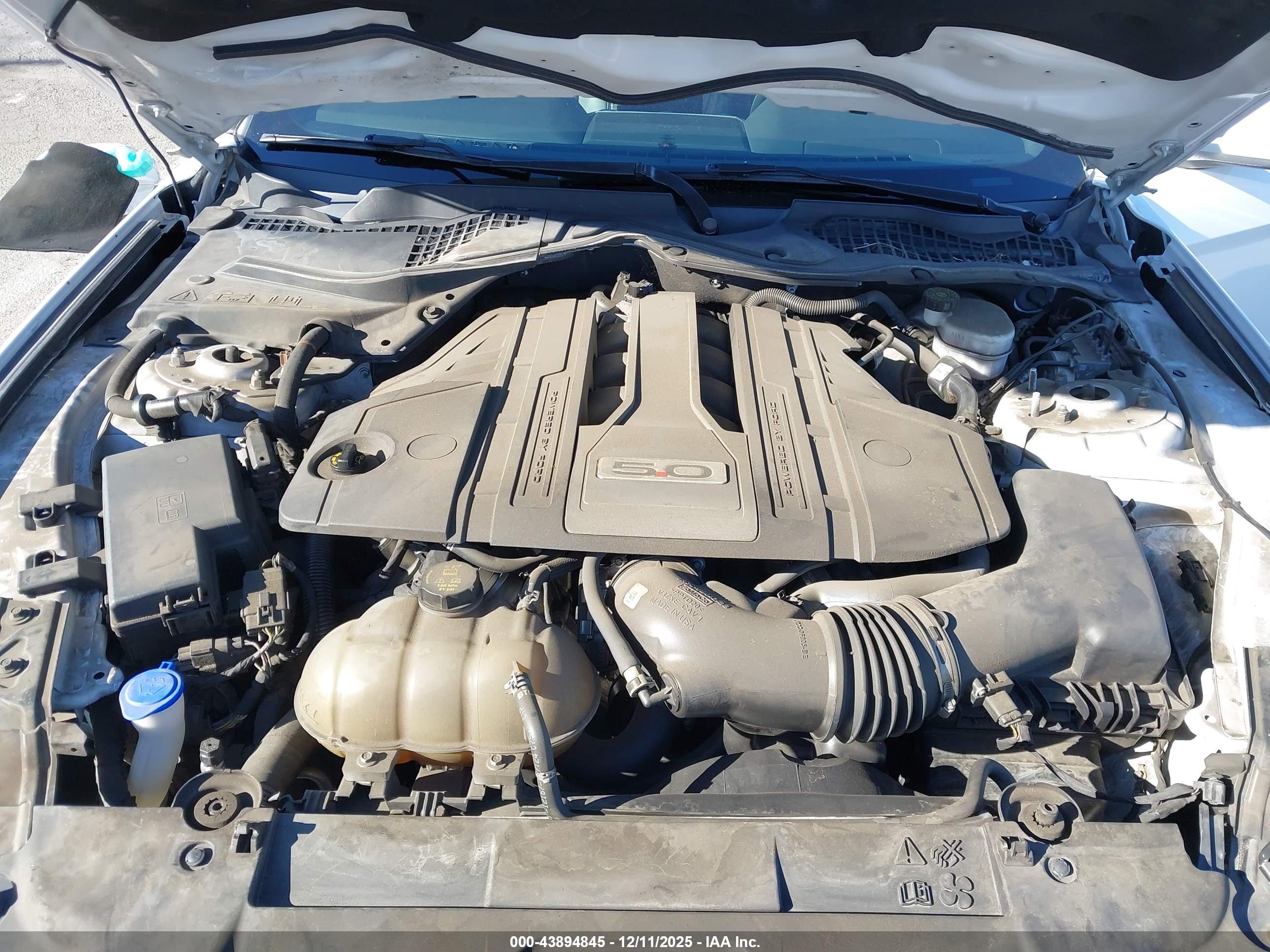 FORD MUSTANG image 10