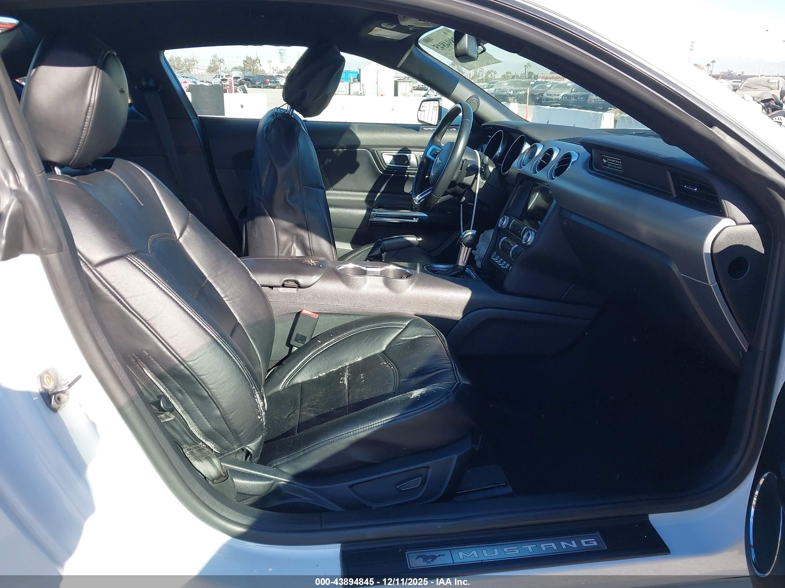 FORD MUSTANG image 5