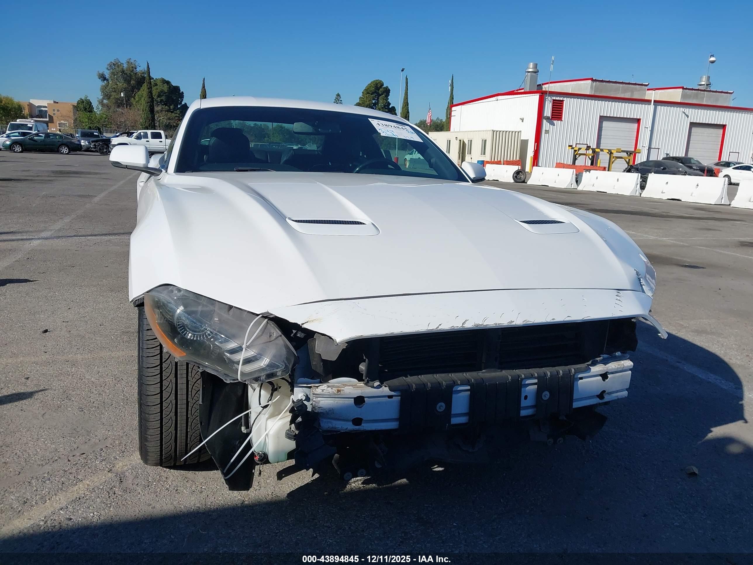 FORD MUSTANG image 6