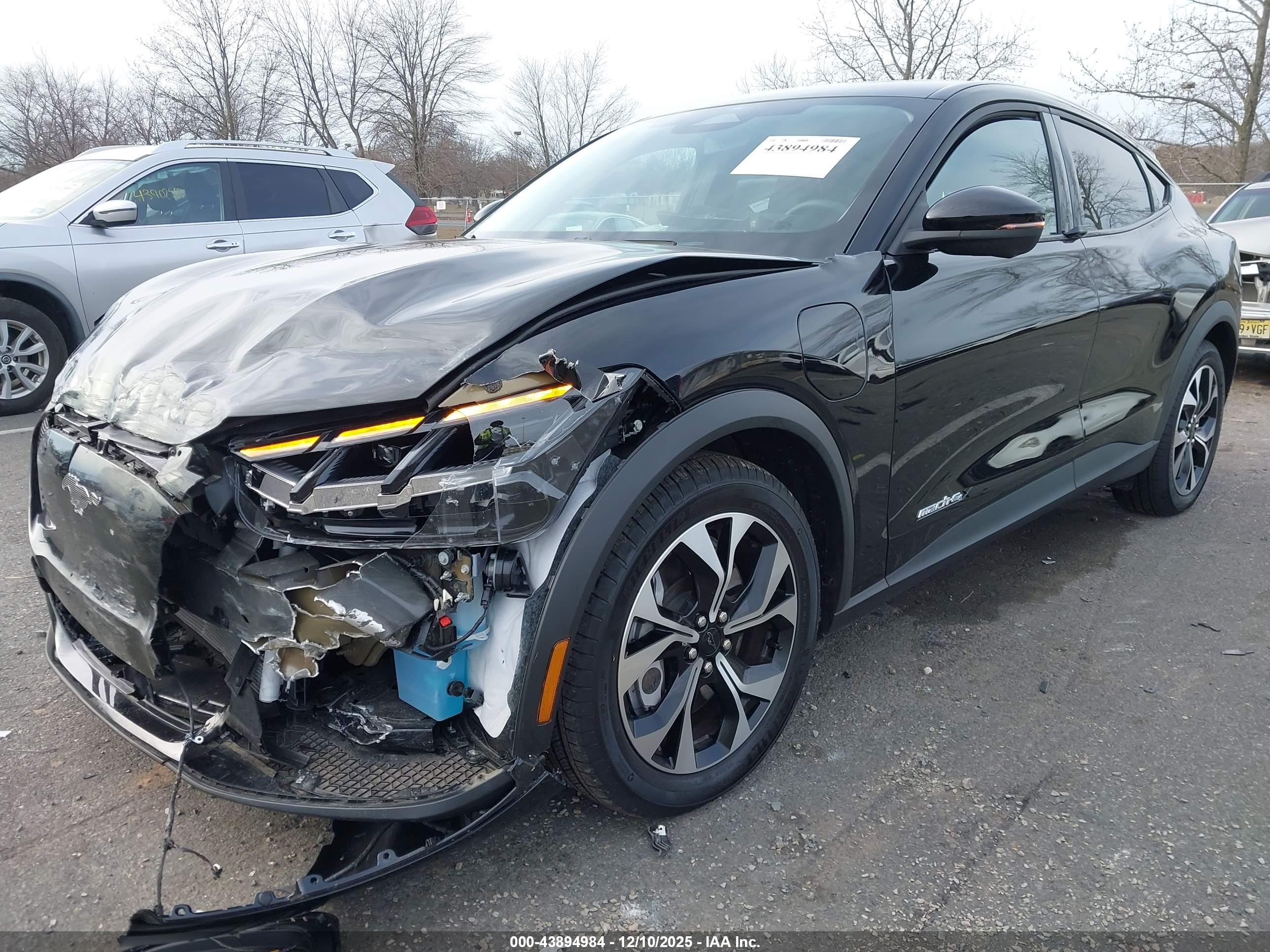 FORD MUSTANG image 2