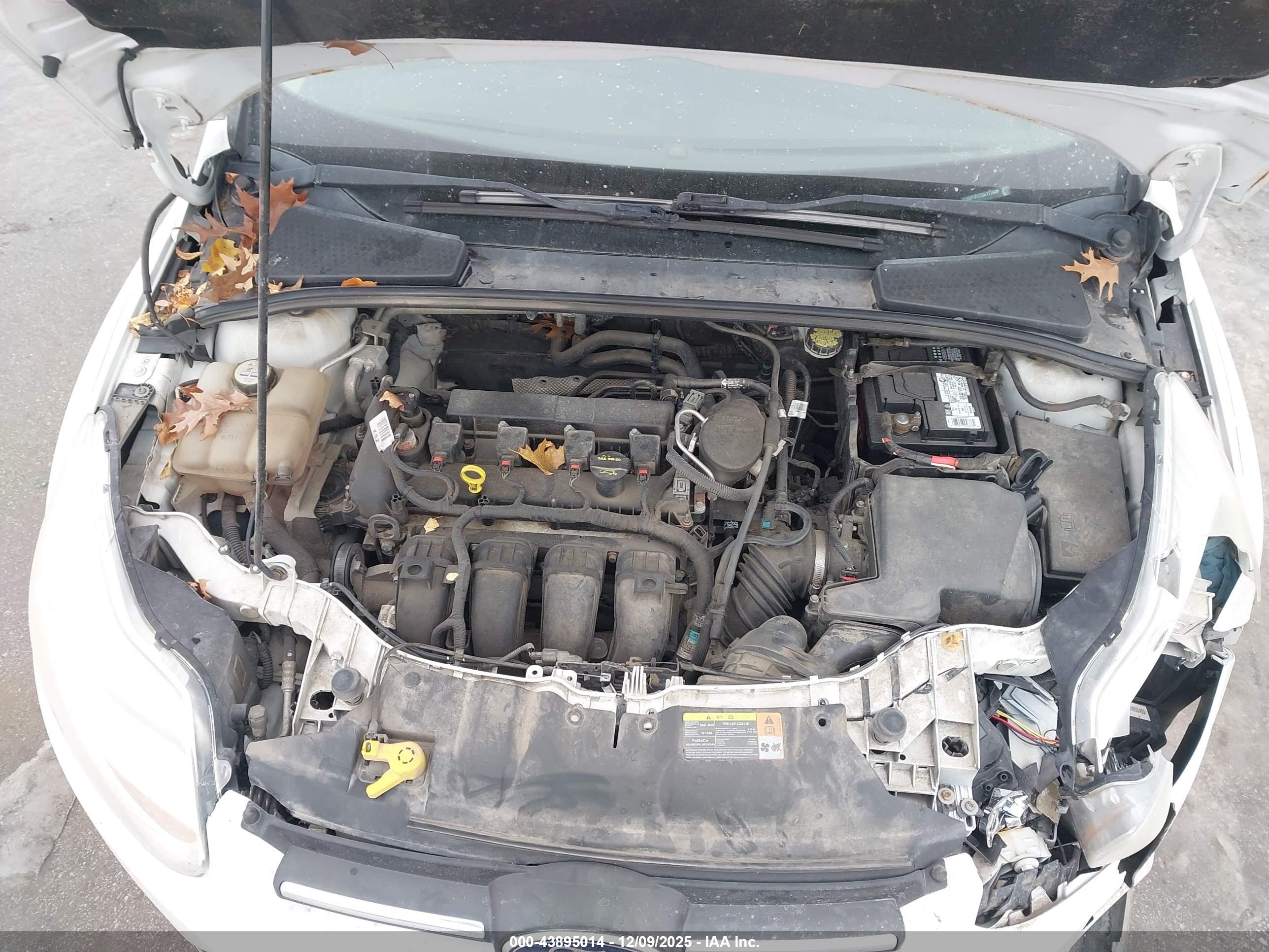 FORD FOCUS image 10