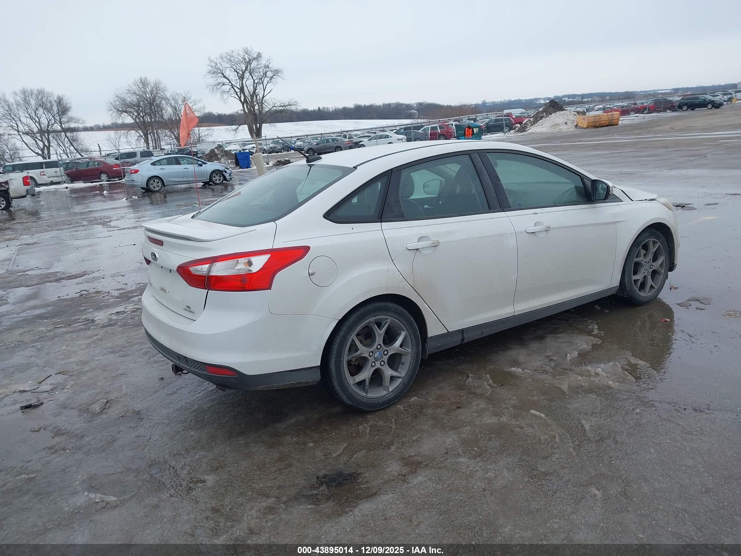 FORD FOCUS image 4