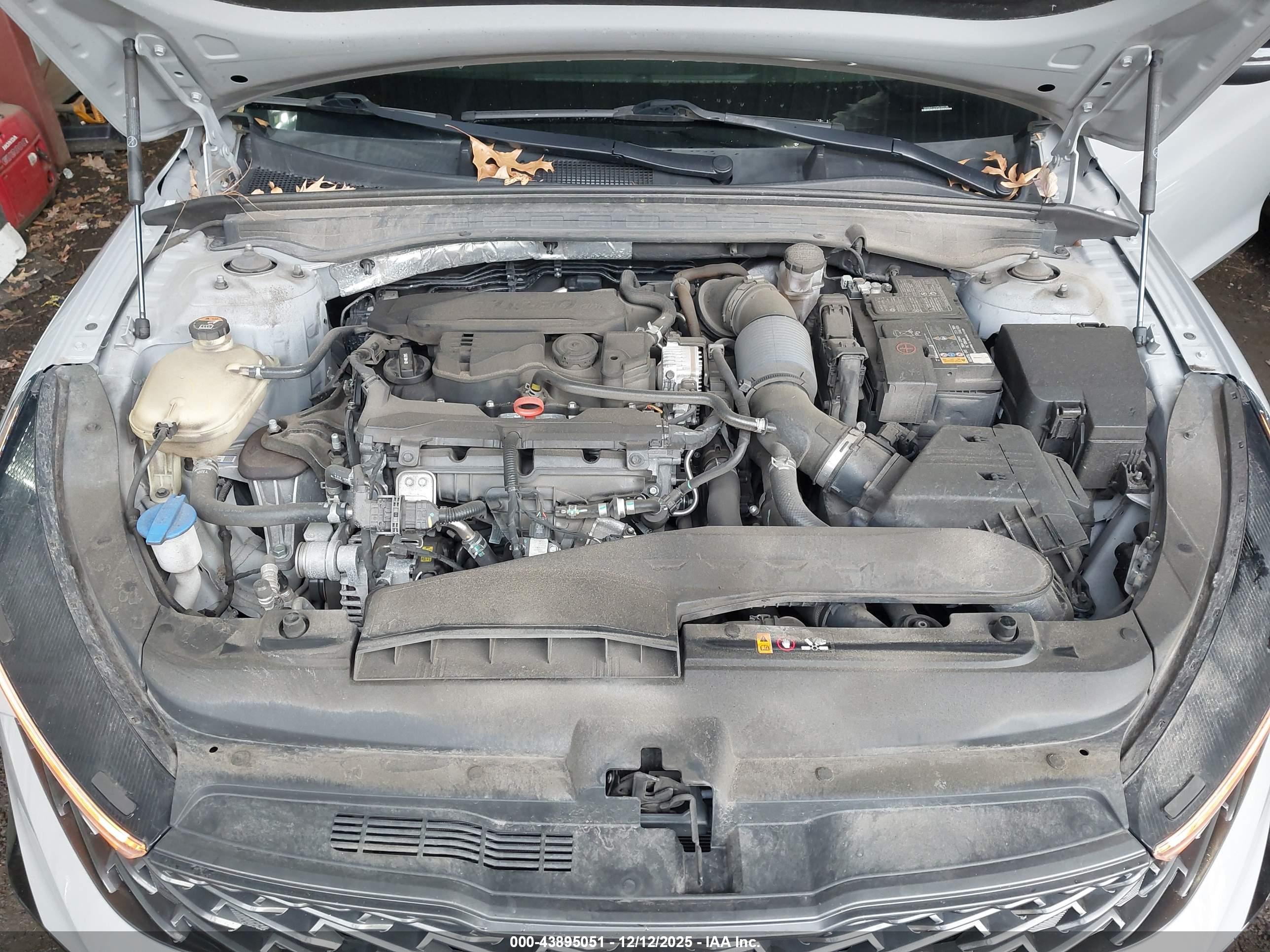 KIA K5 image 10