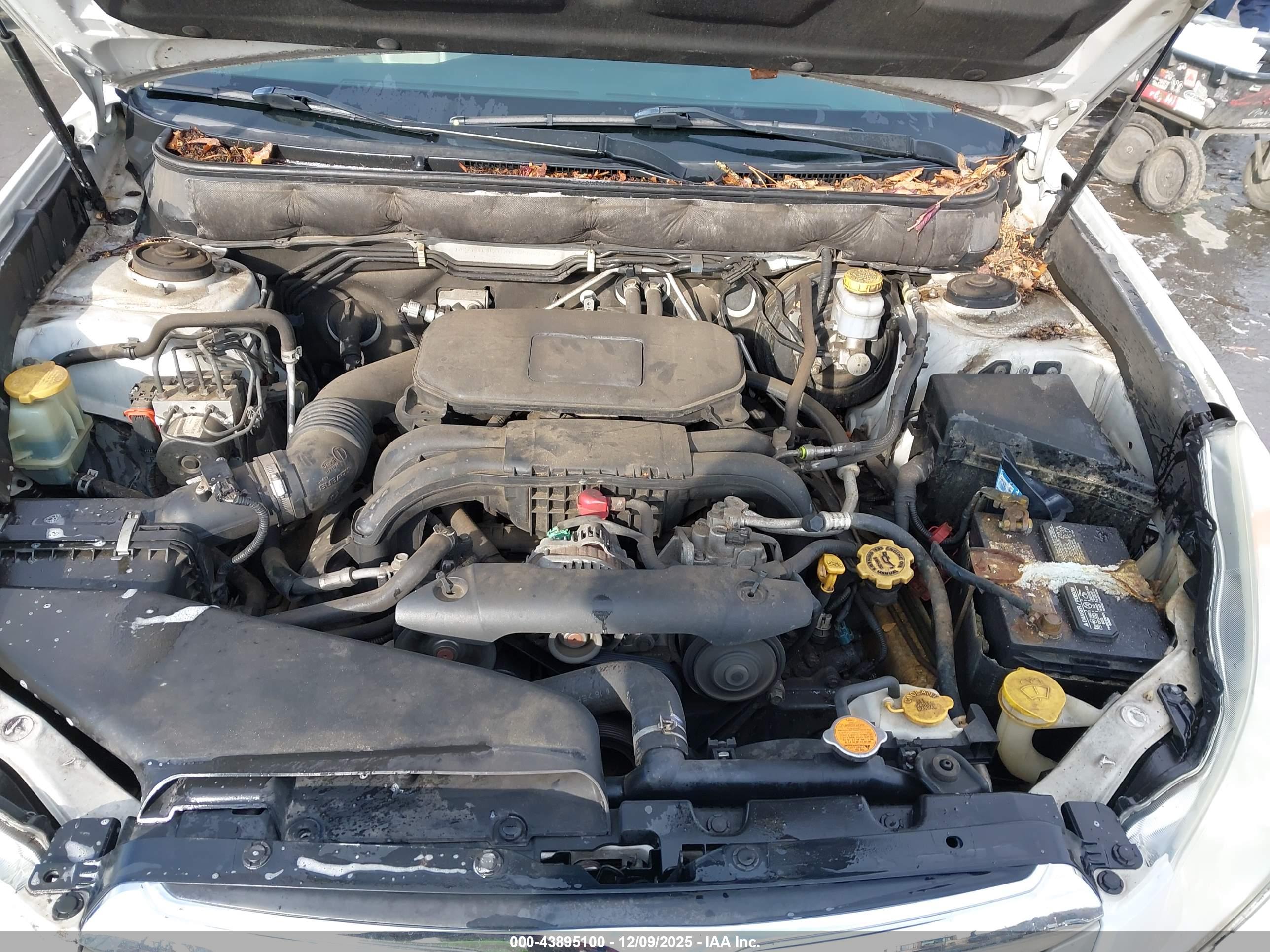 SUBARU OUTBACK image 10