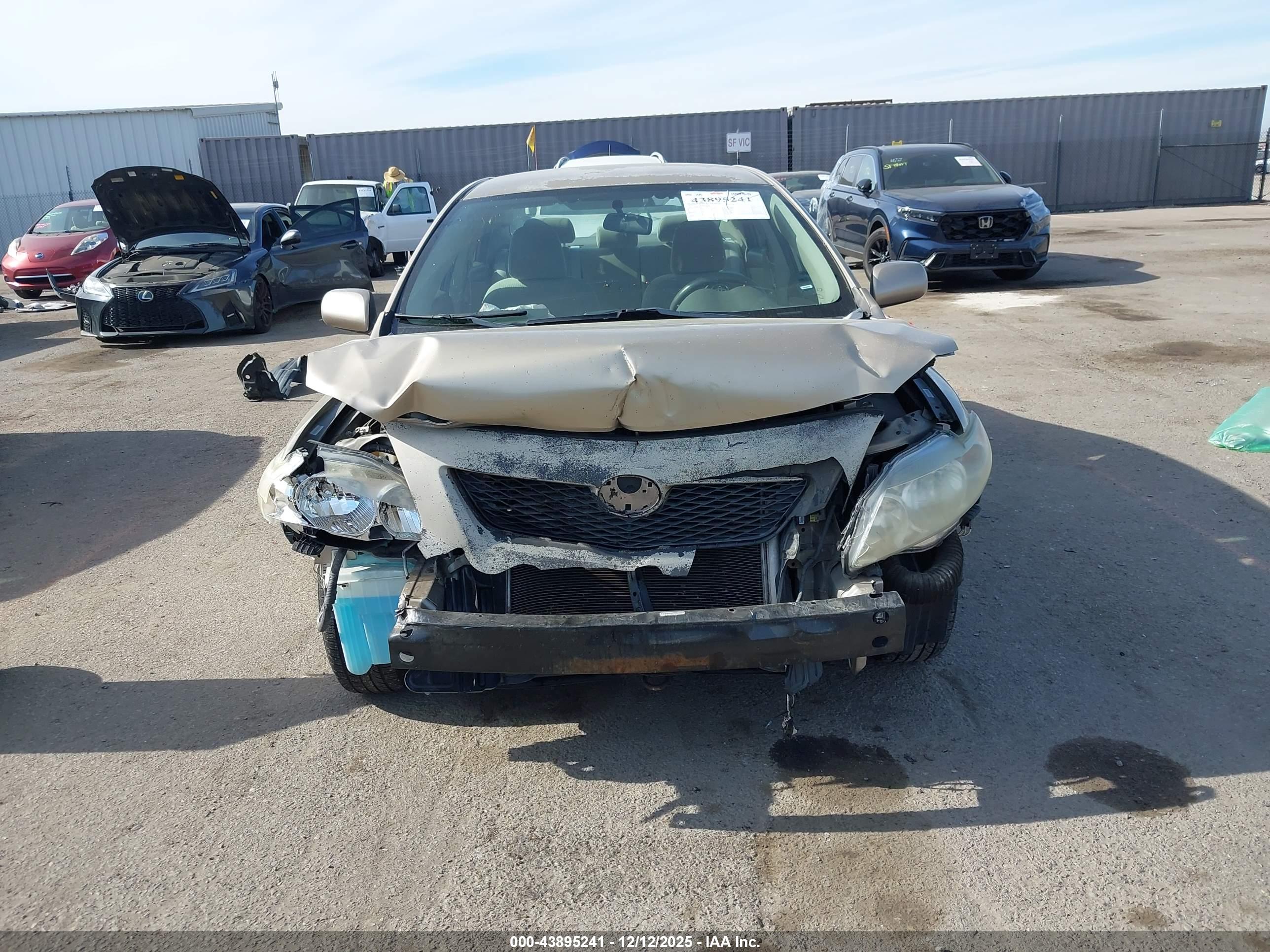 TOYOTA COROLLA image 6