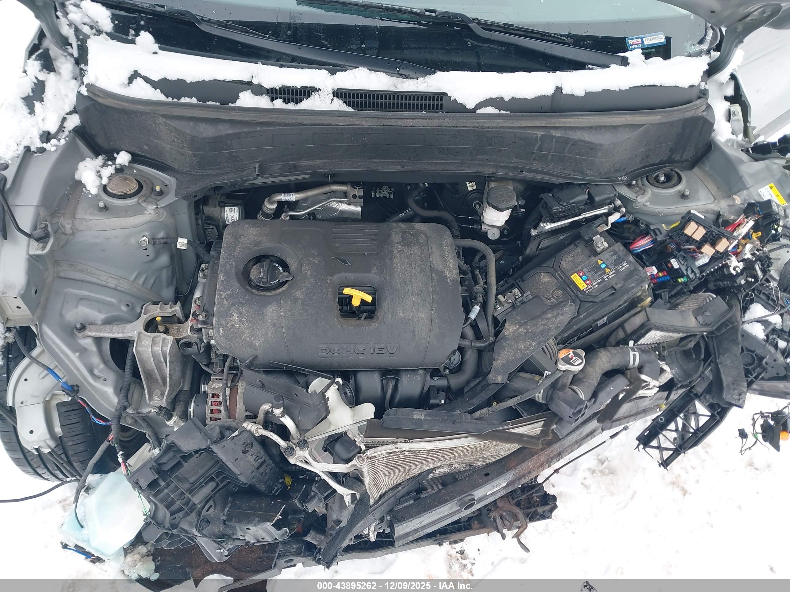 KIA SELTOS image 10