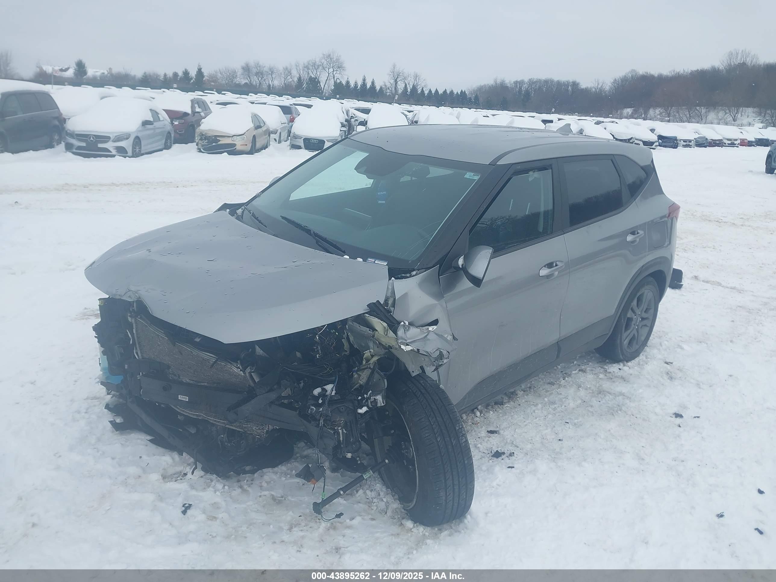 KIA SELTOS image 2