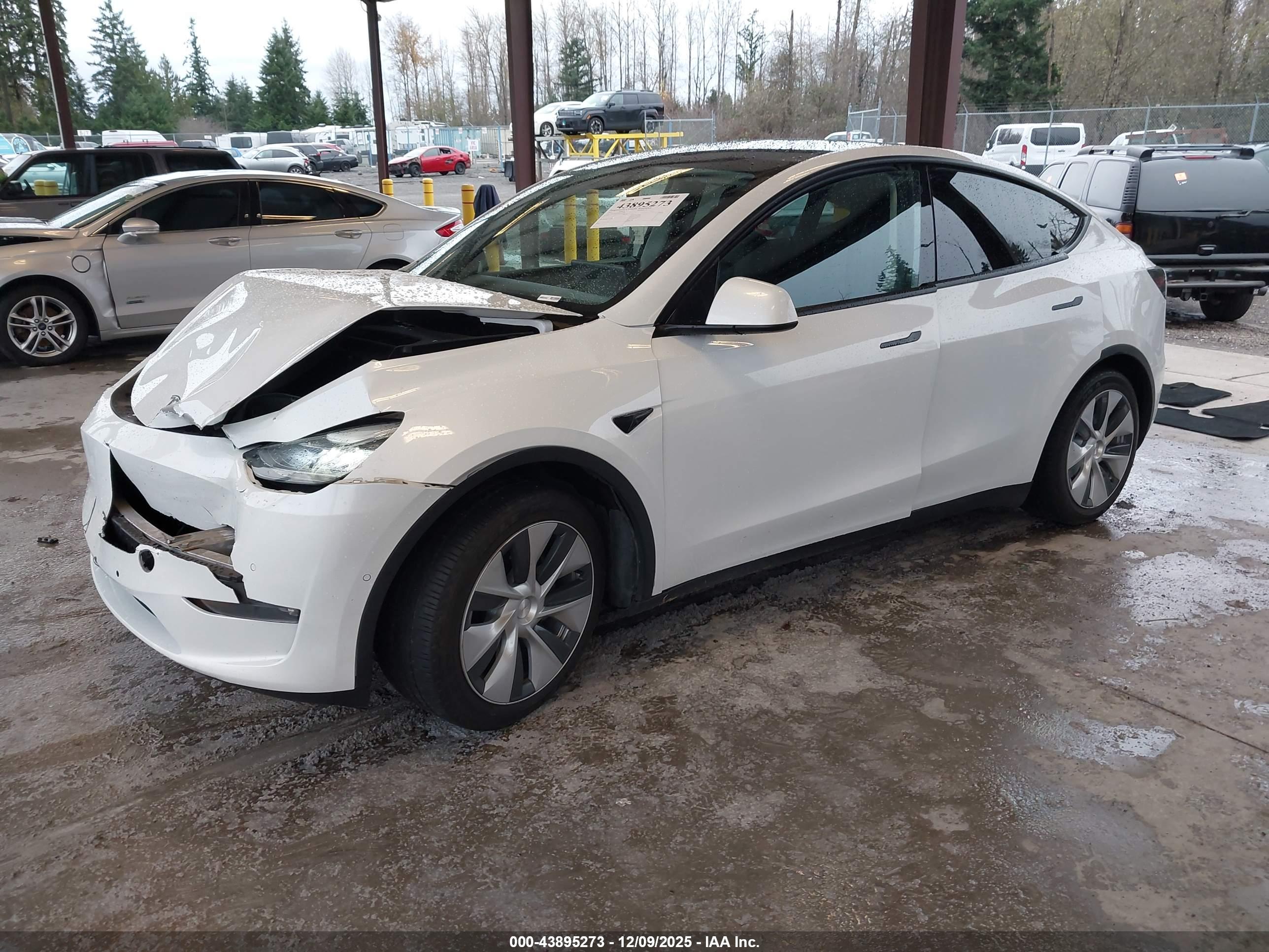 TESLA MODEL image 2