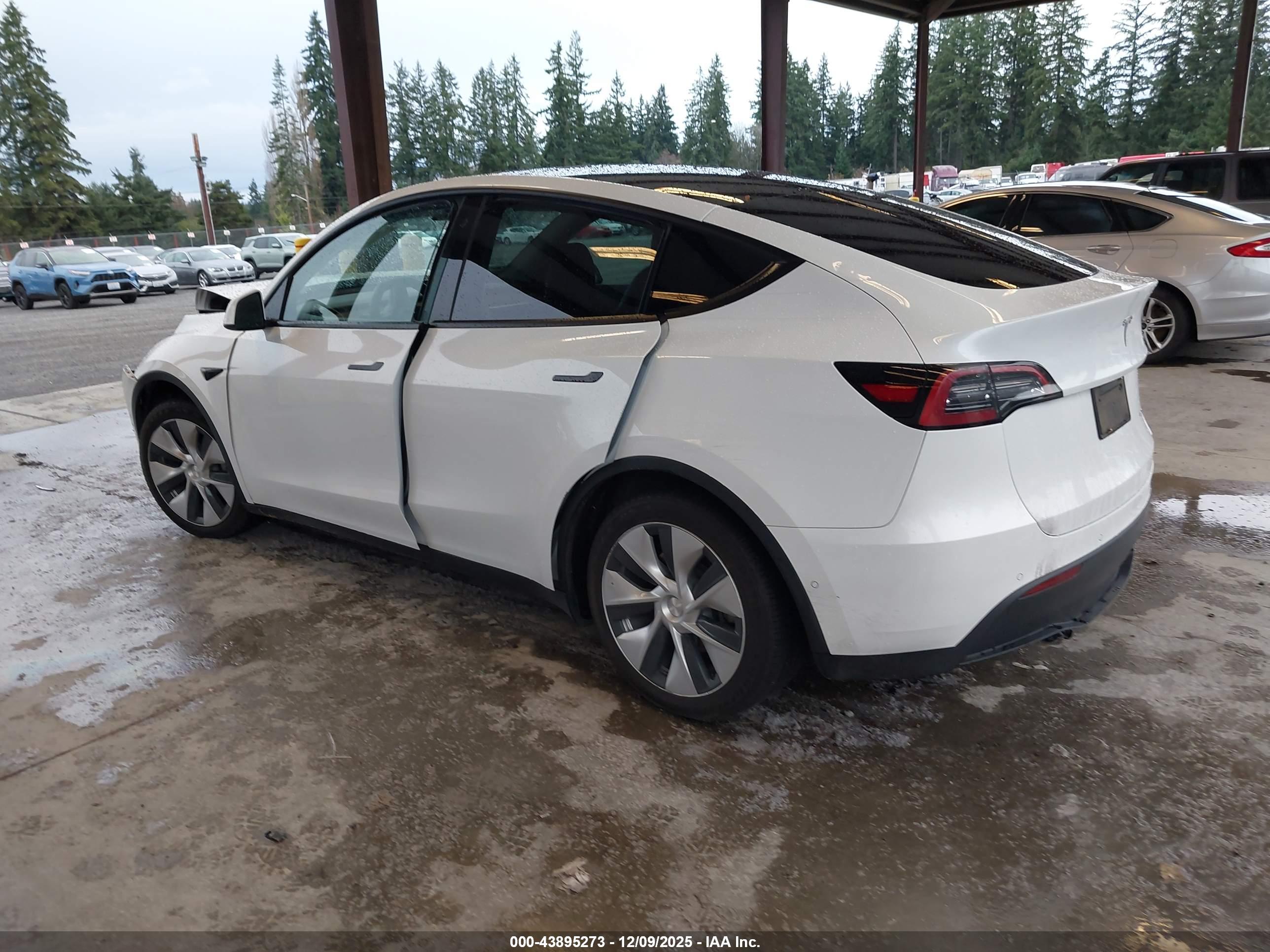 TESLA MODEL image 3
