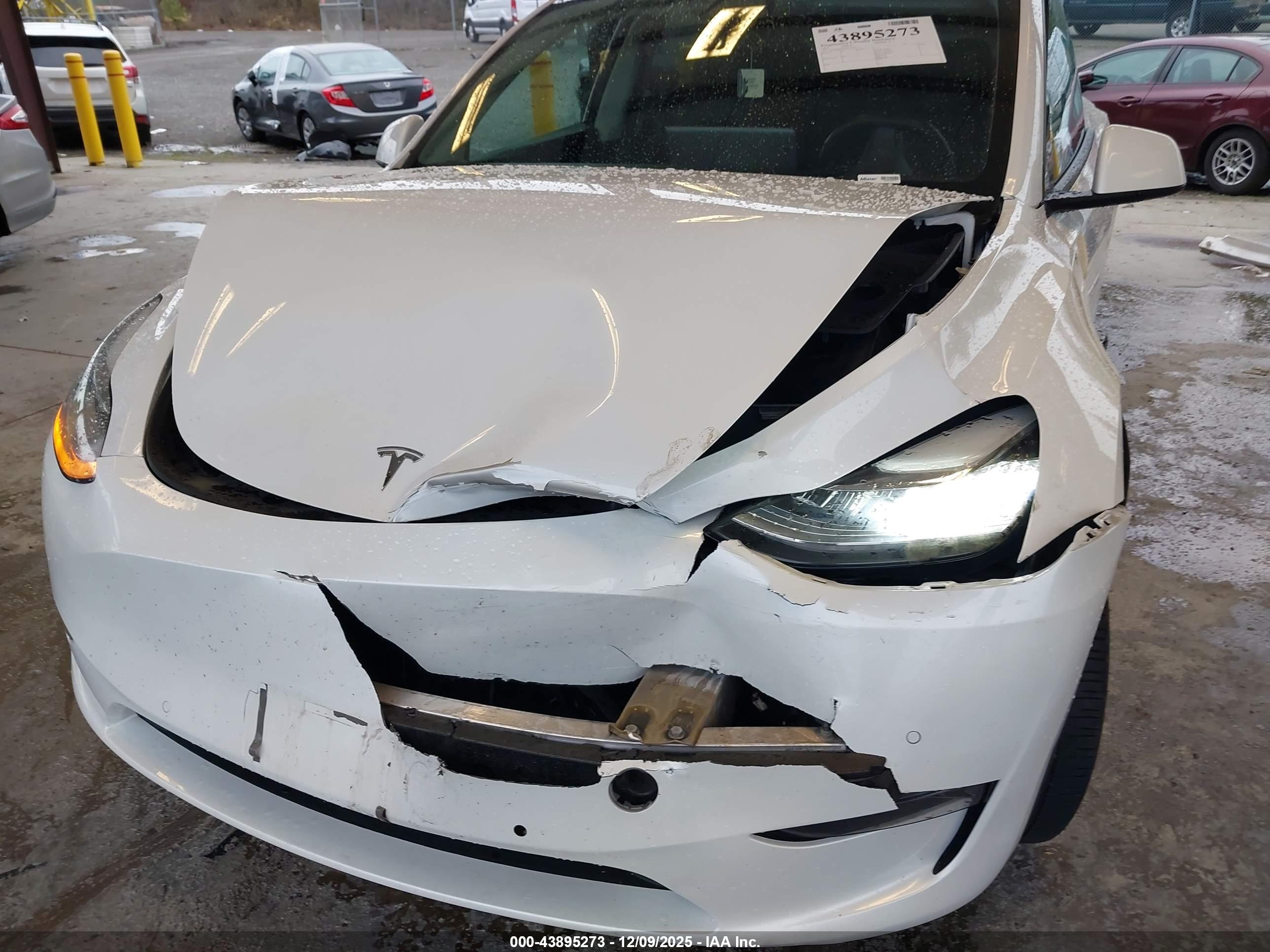 TESLA MODEL image 6