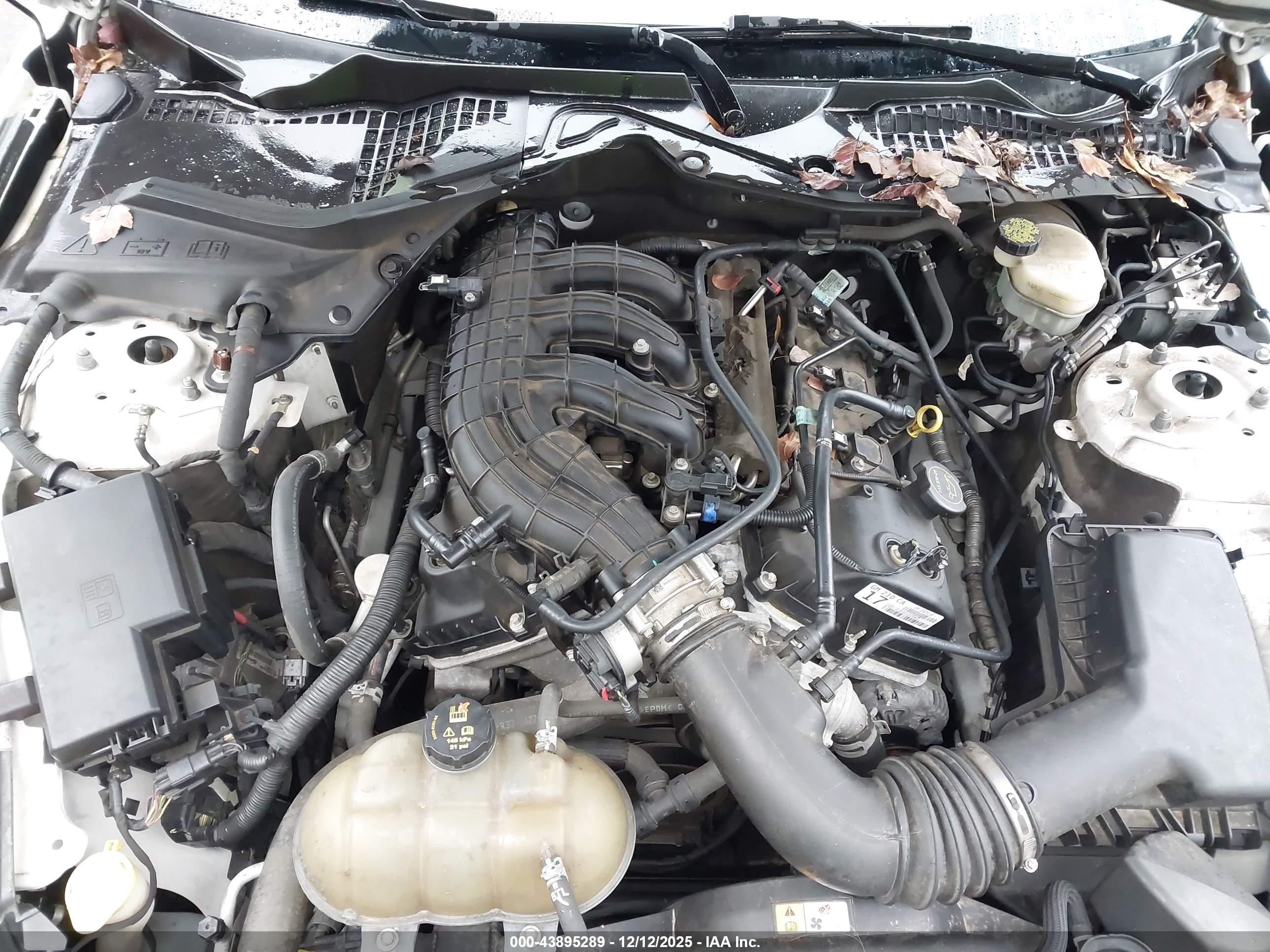 FORD MUSTANG image 10