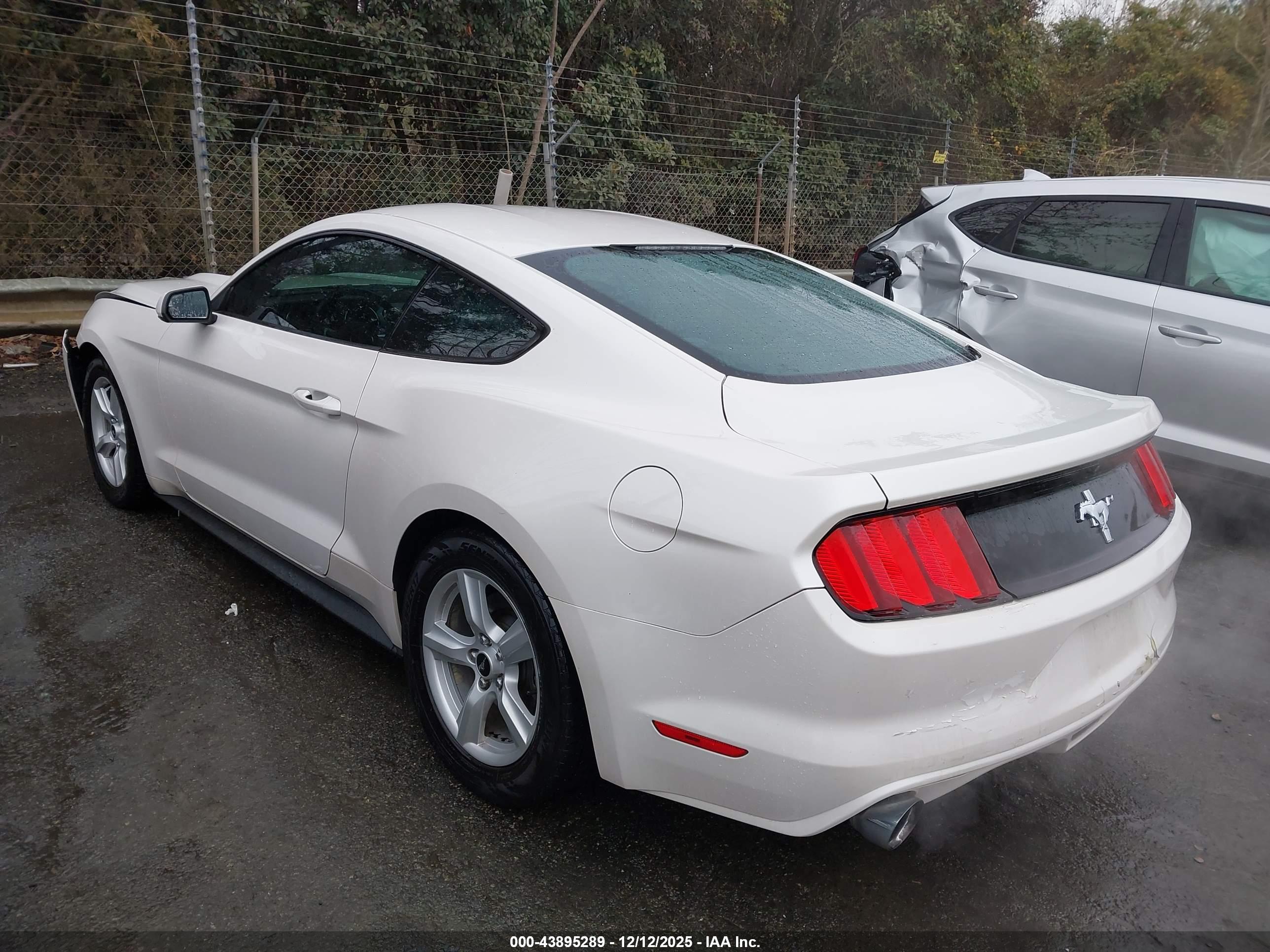 FORD MUSTANG image 3