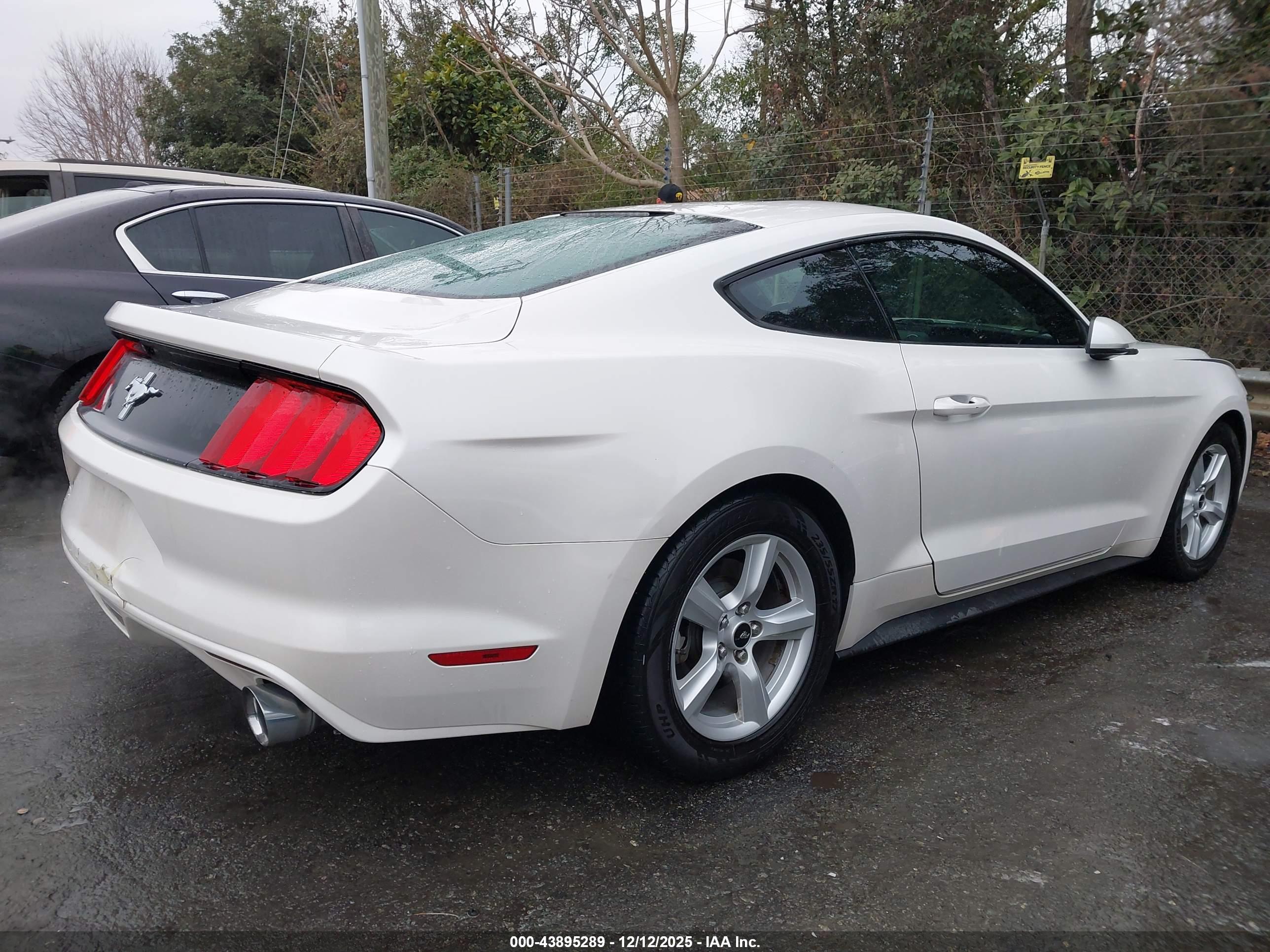 FORD MUSTANG image 4