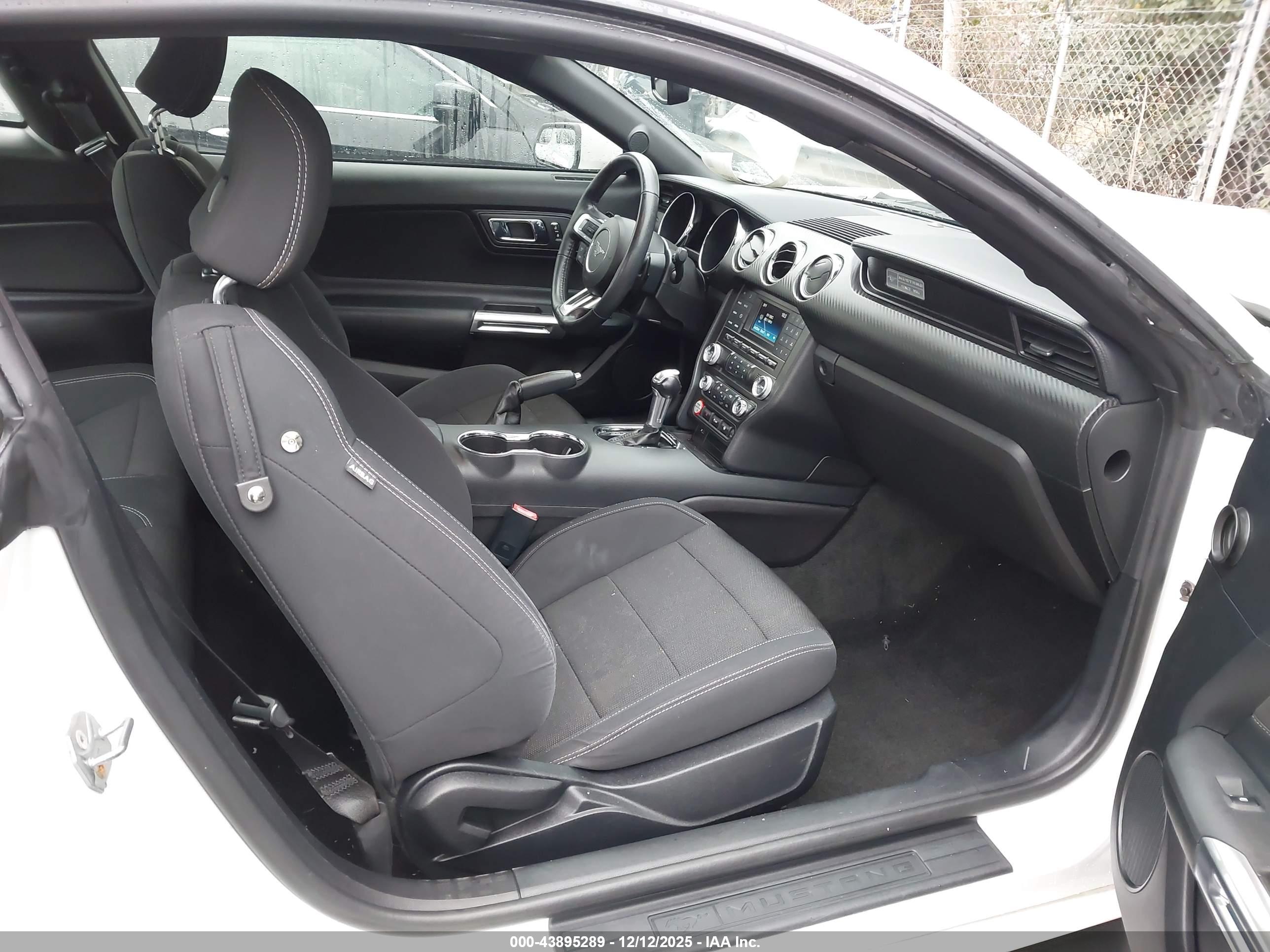 FORD MUSTANG image 5