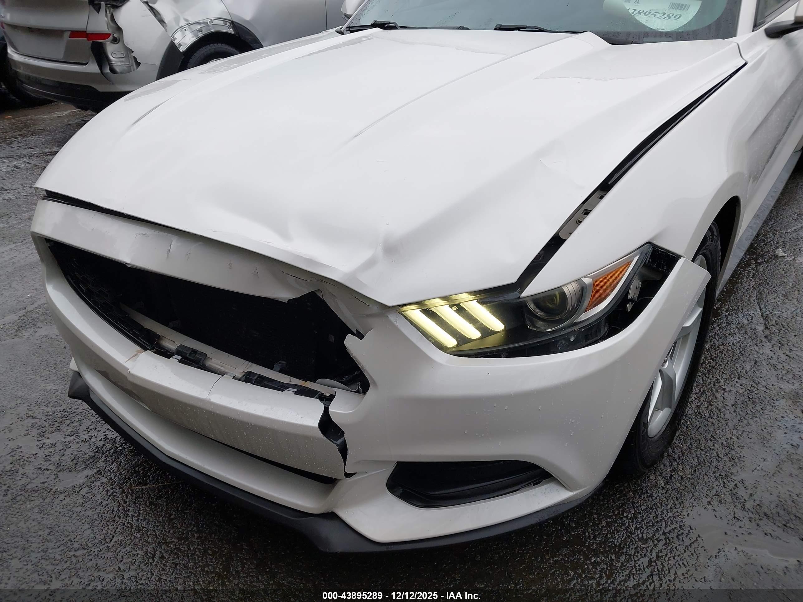 FORD MUSTANG image 6