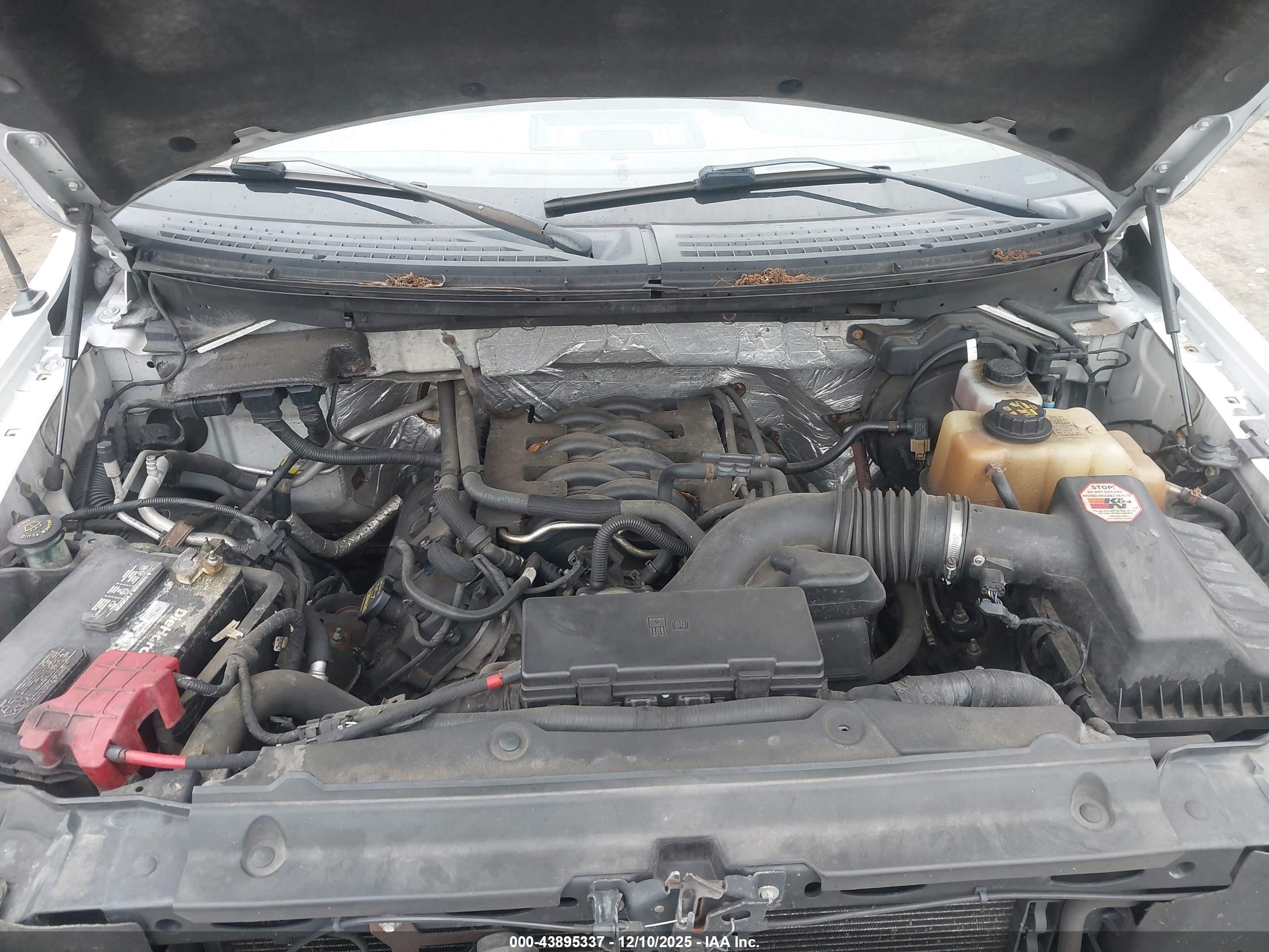 FORD F-150 image 10
