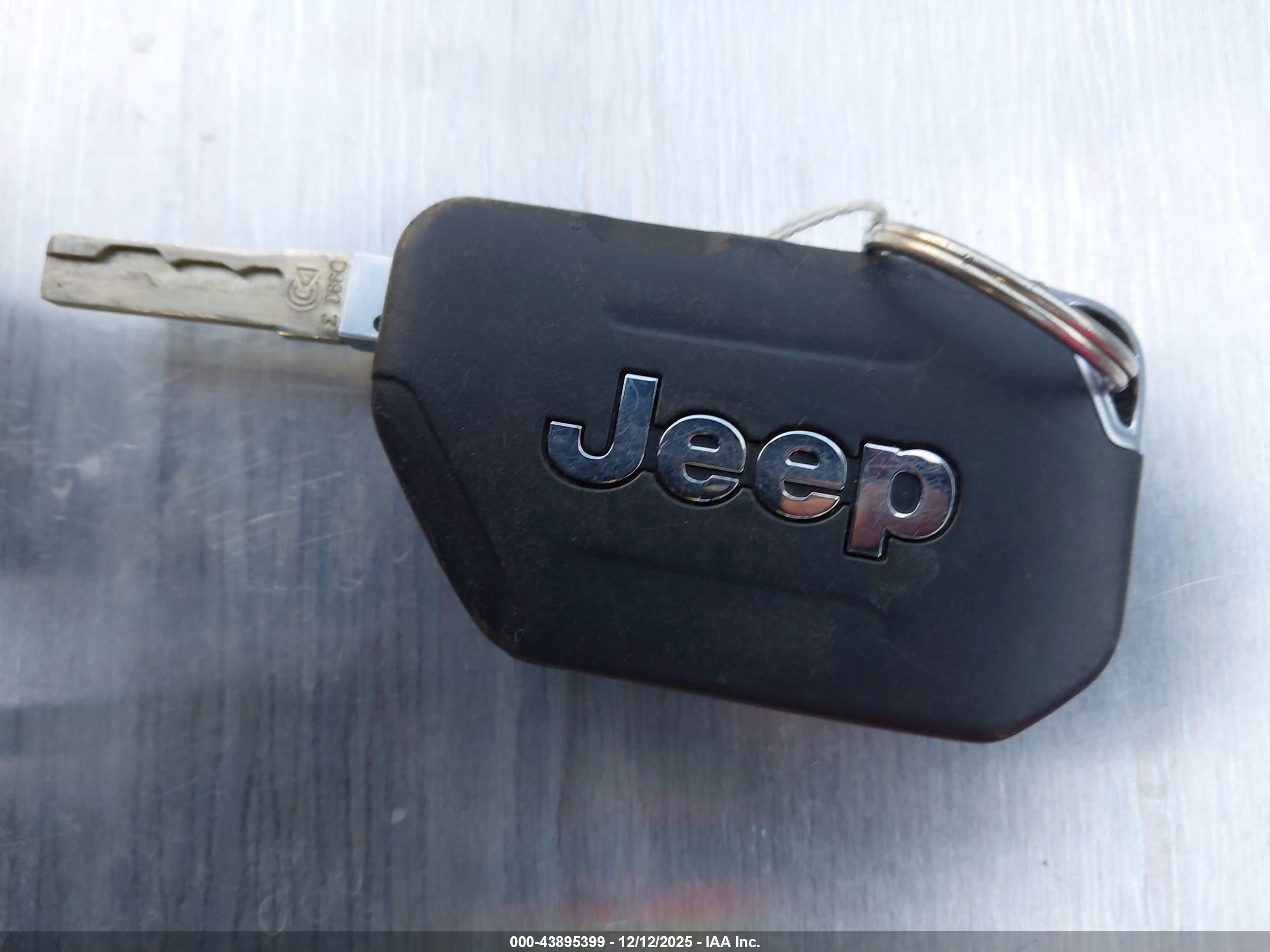 JEEP WRANGLER image 11