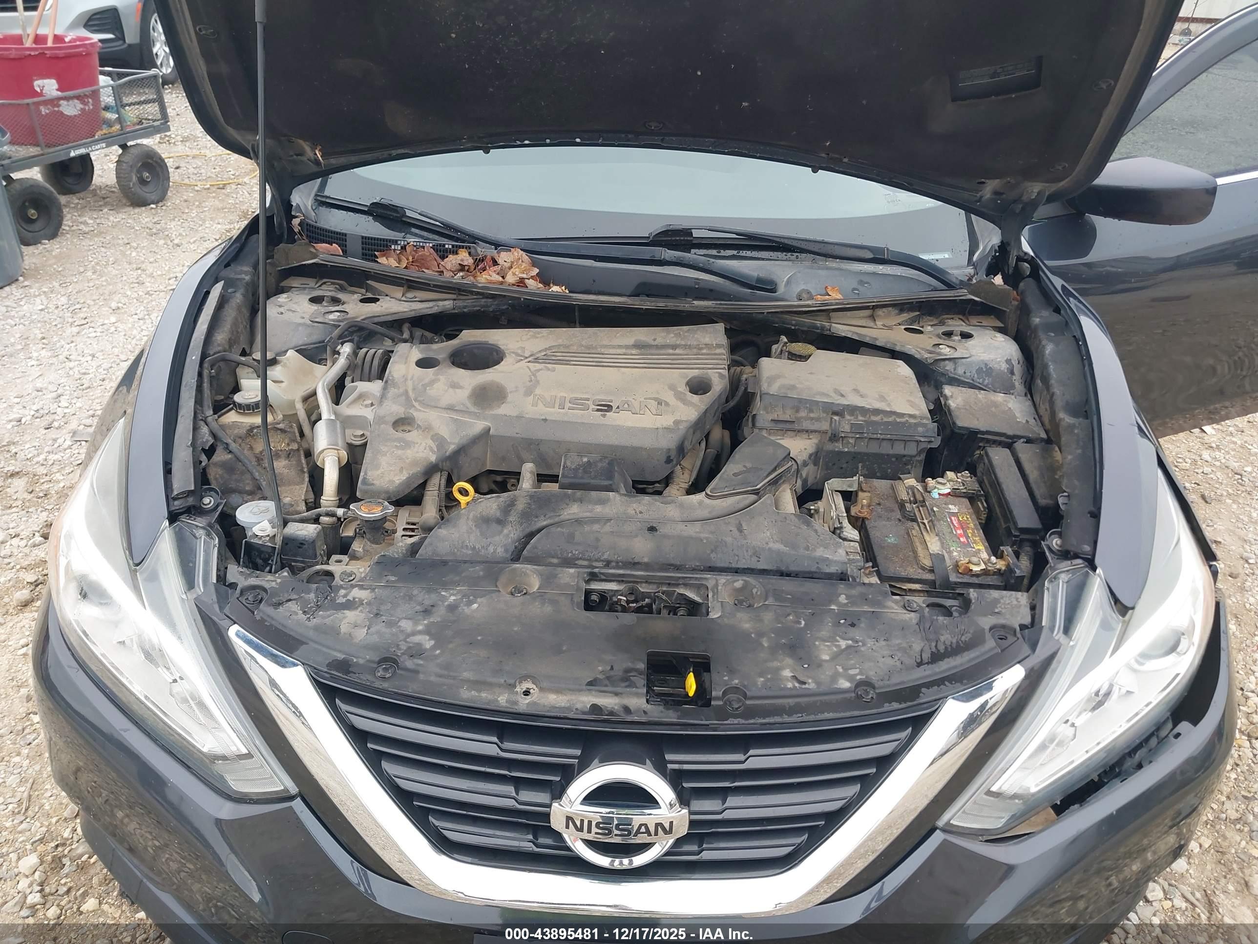 NISSAN ALTIMA image 10