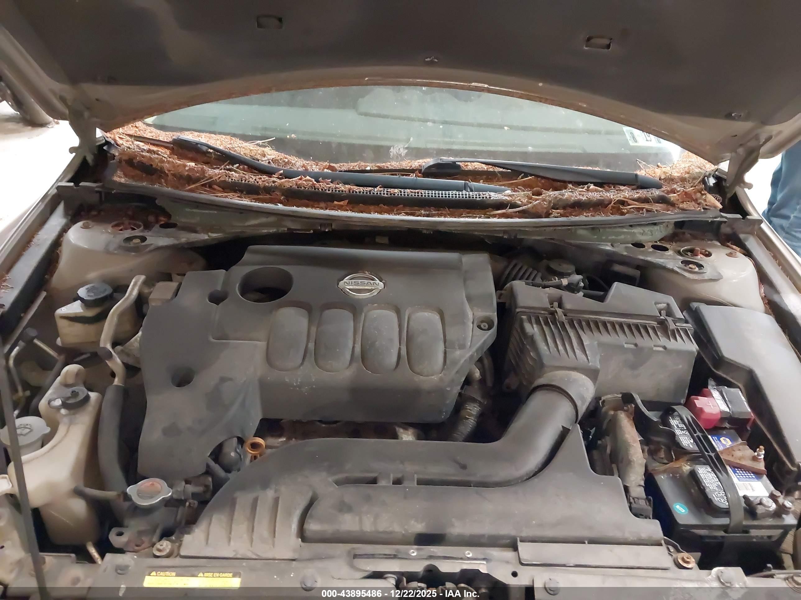 NISSAN ALTIMA image 10