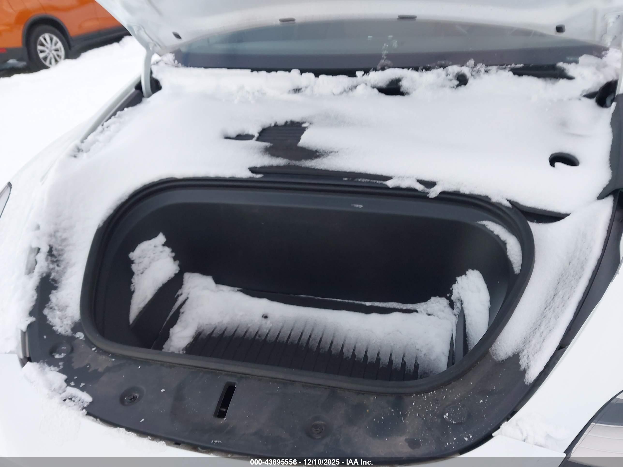 TESLA MODEL image 10