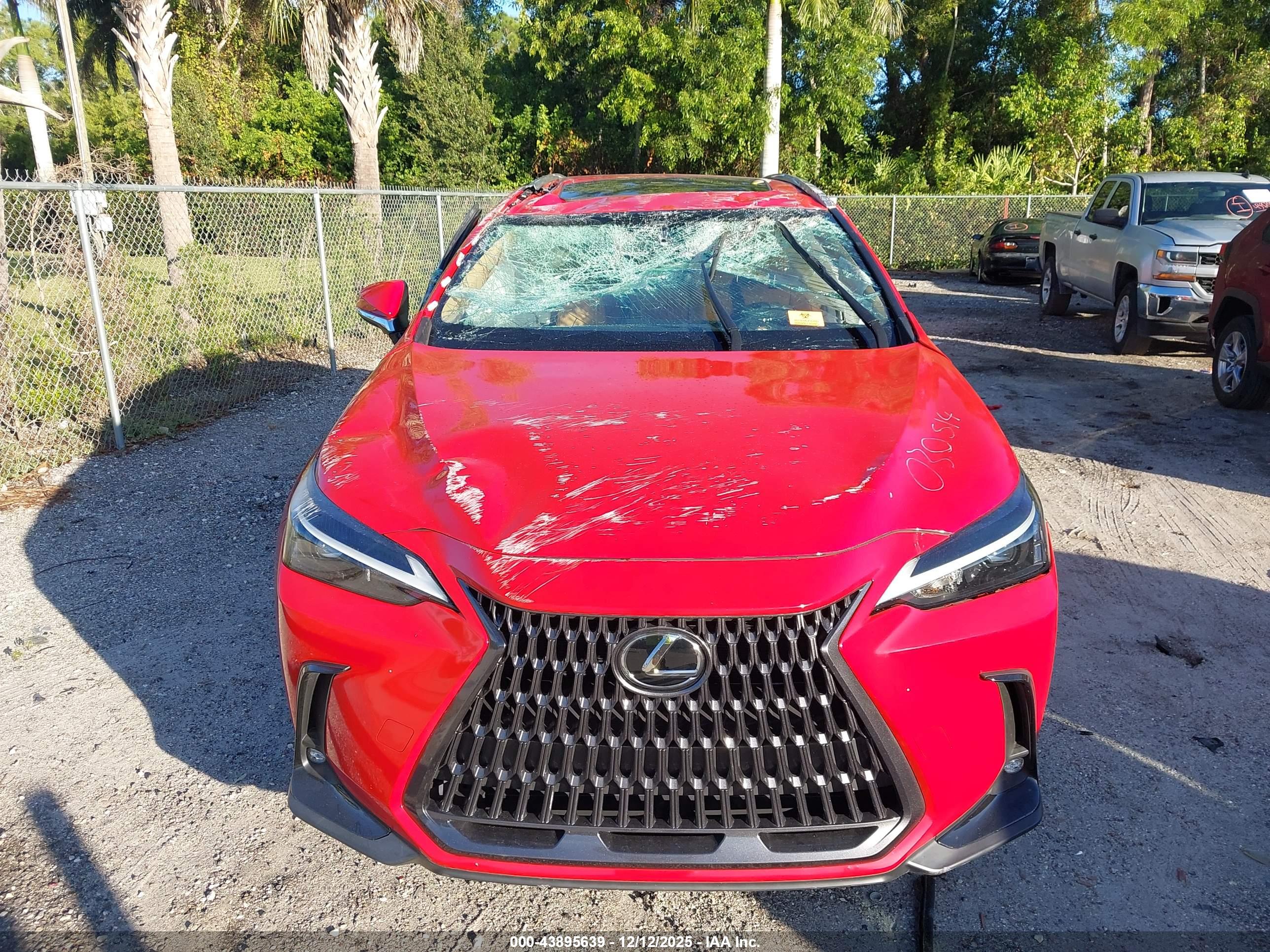LEXUS NX image 6