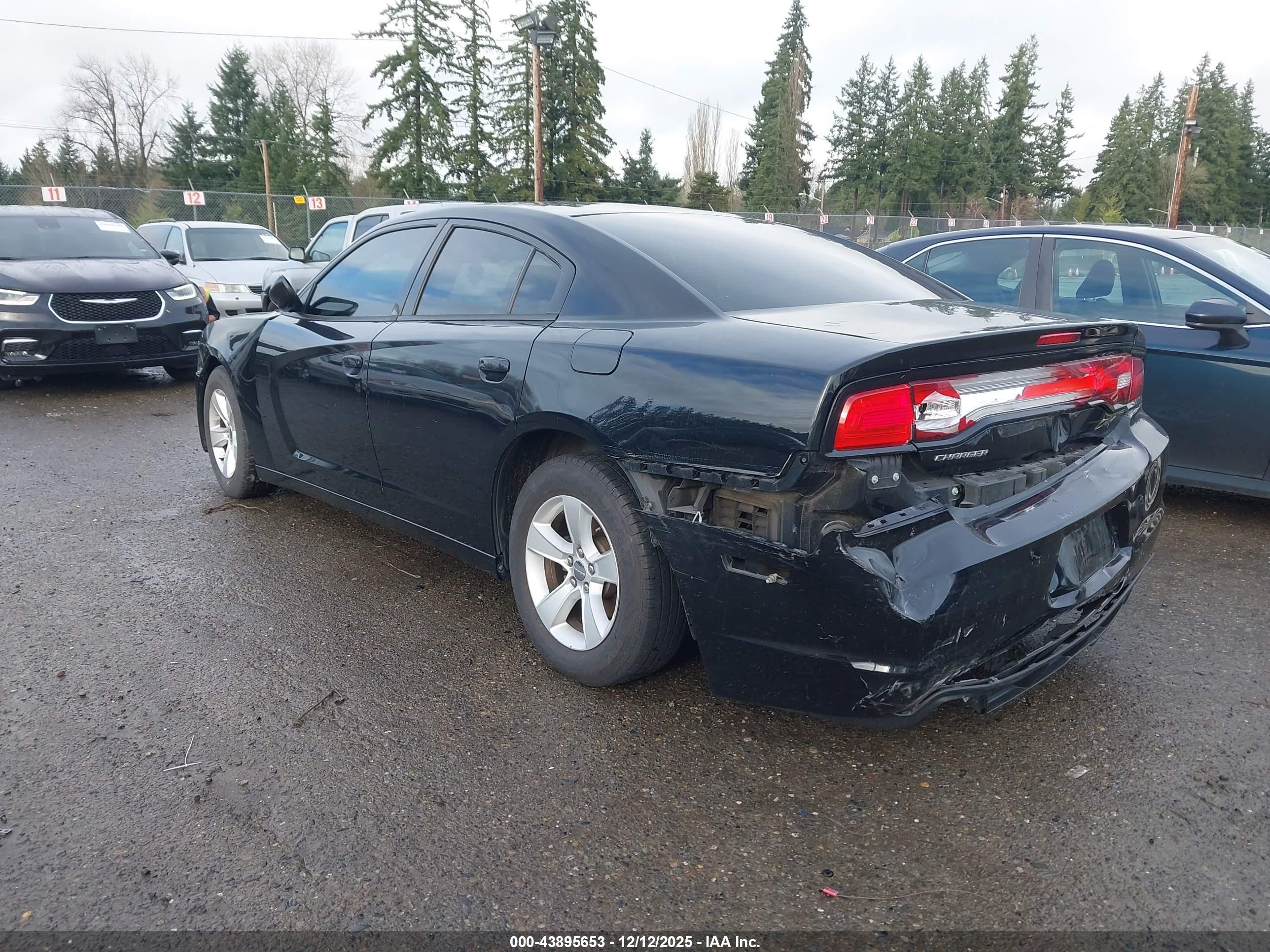 DODGE CHARGER image 3