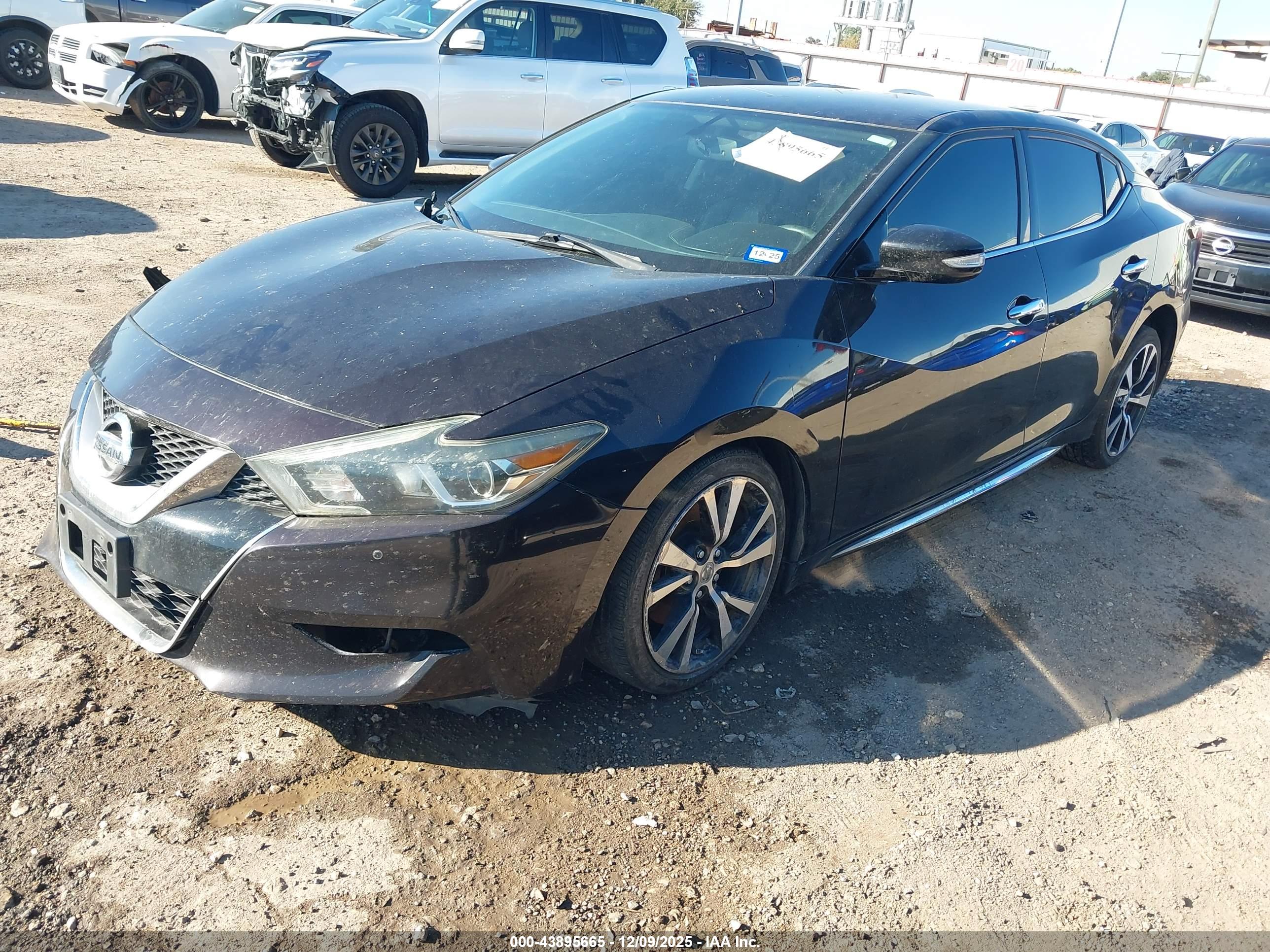 NISSAN MAXIMA image 2