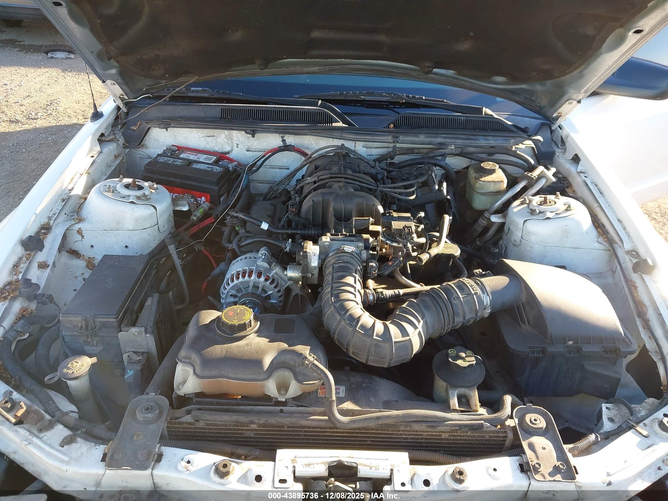 FORD MUSTANG image 10