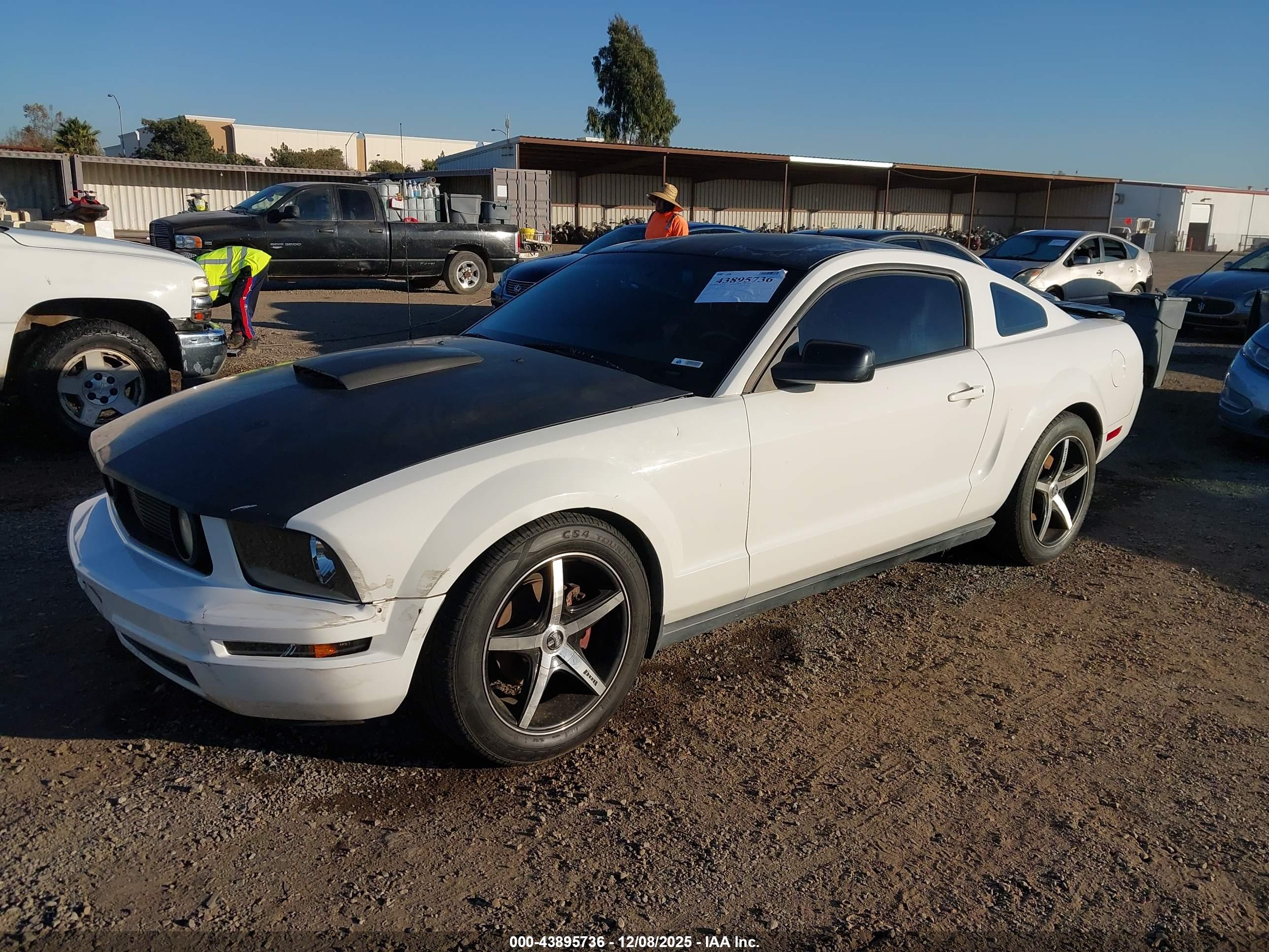 FORD MUSTANG image 2
