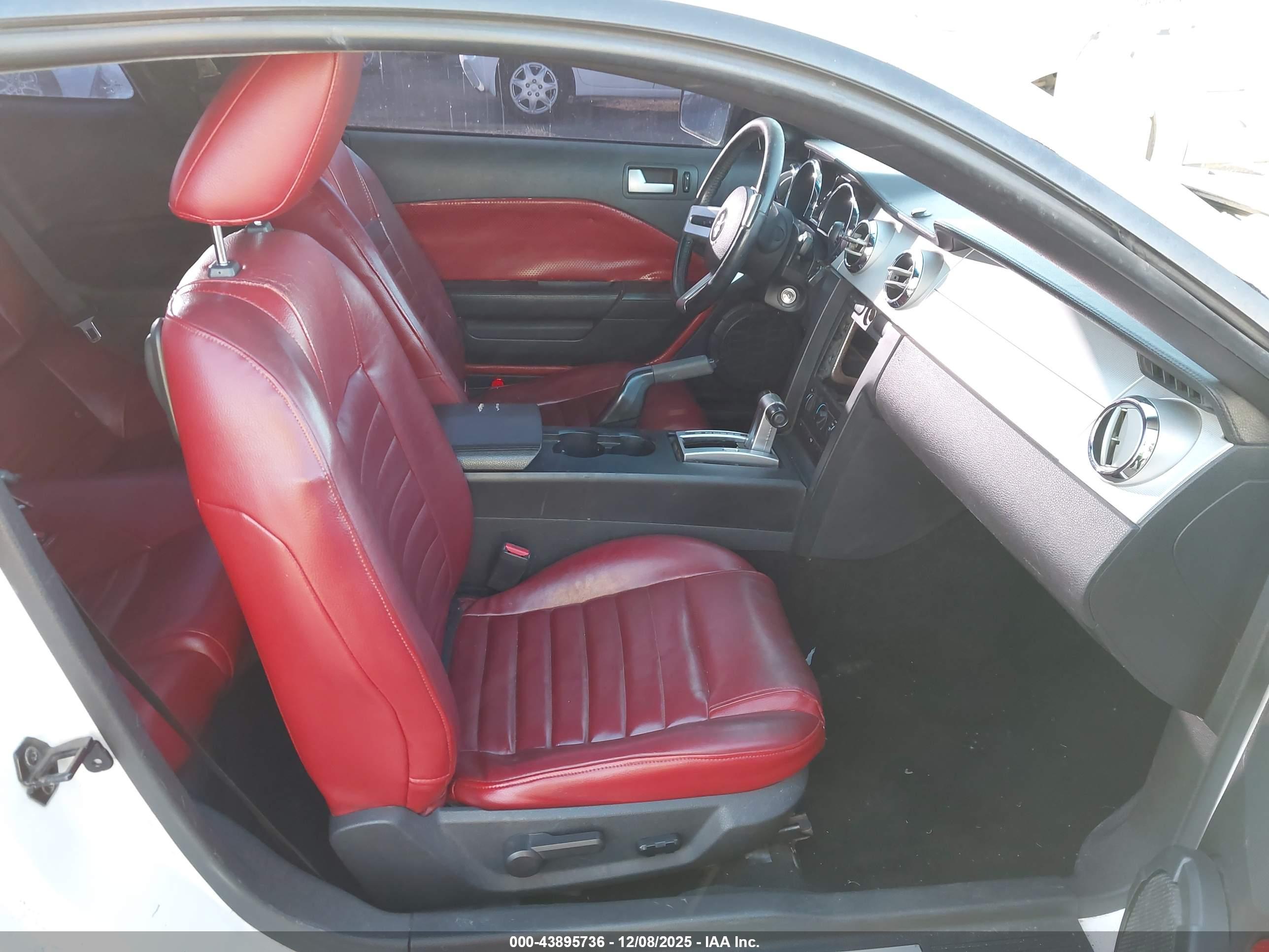 FORD MUSTANG image 5