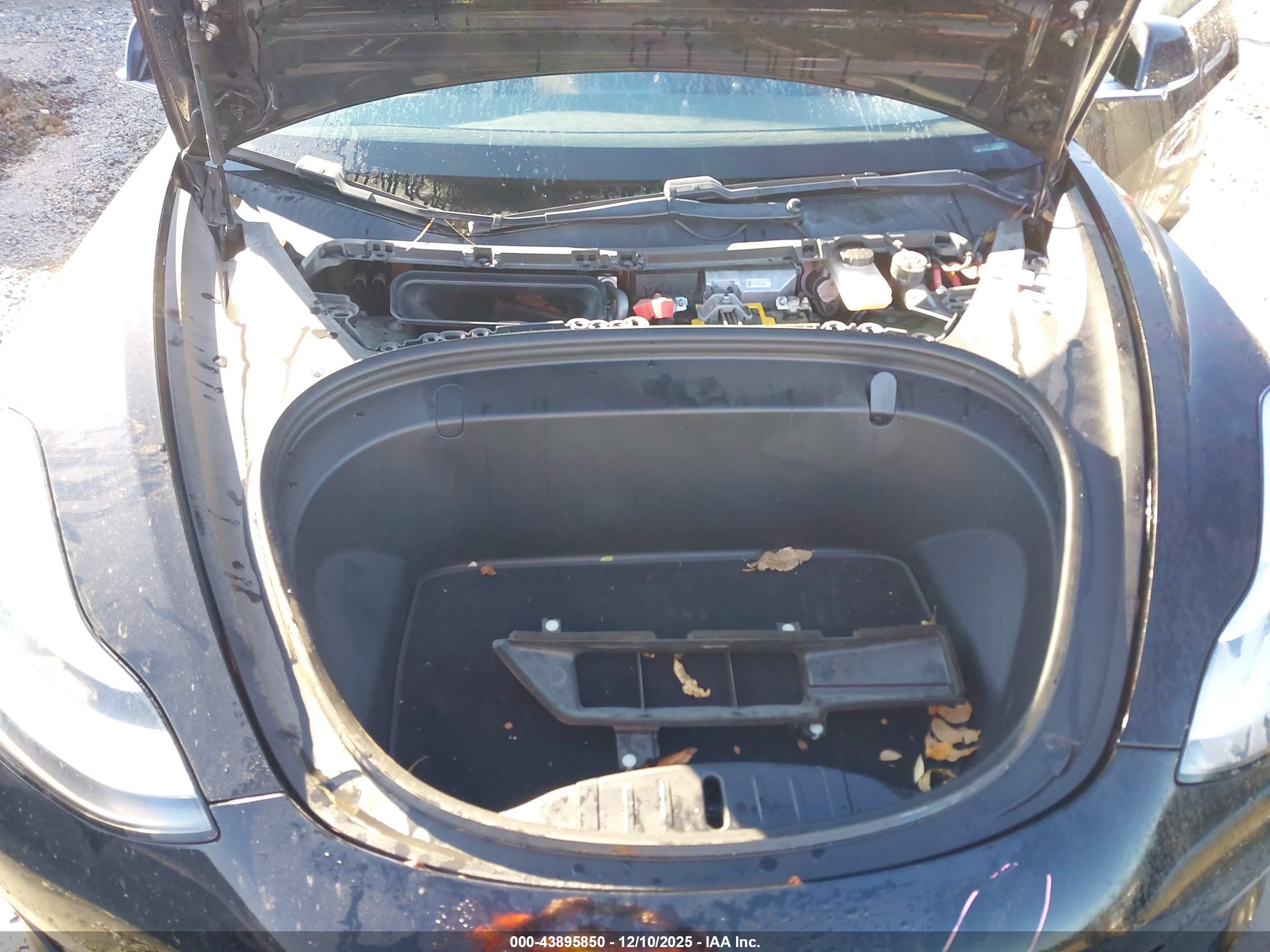 TESLA MODEL image 10