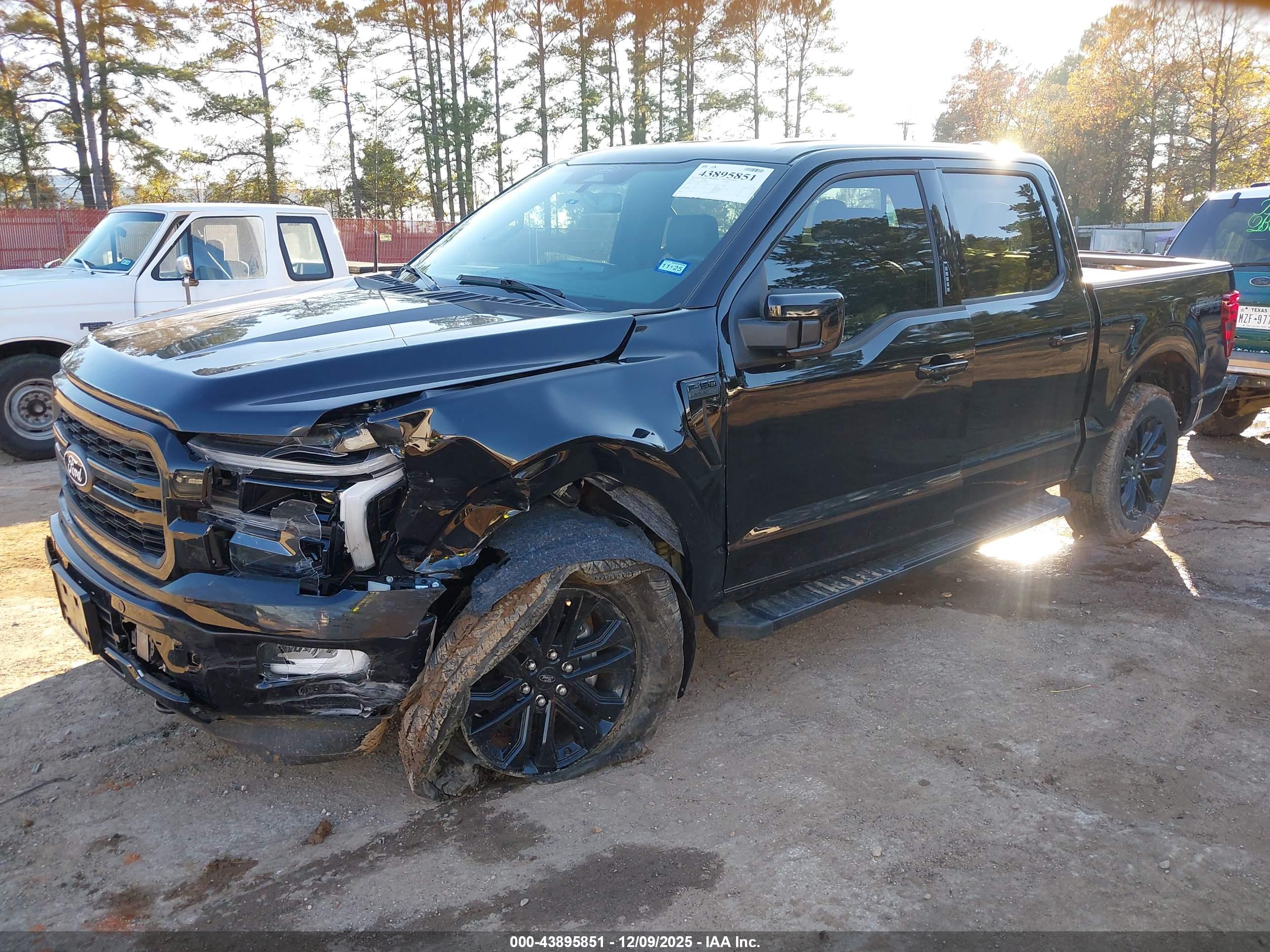 FORD F-150 image 2