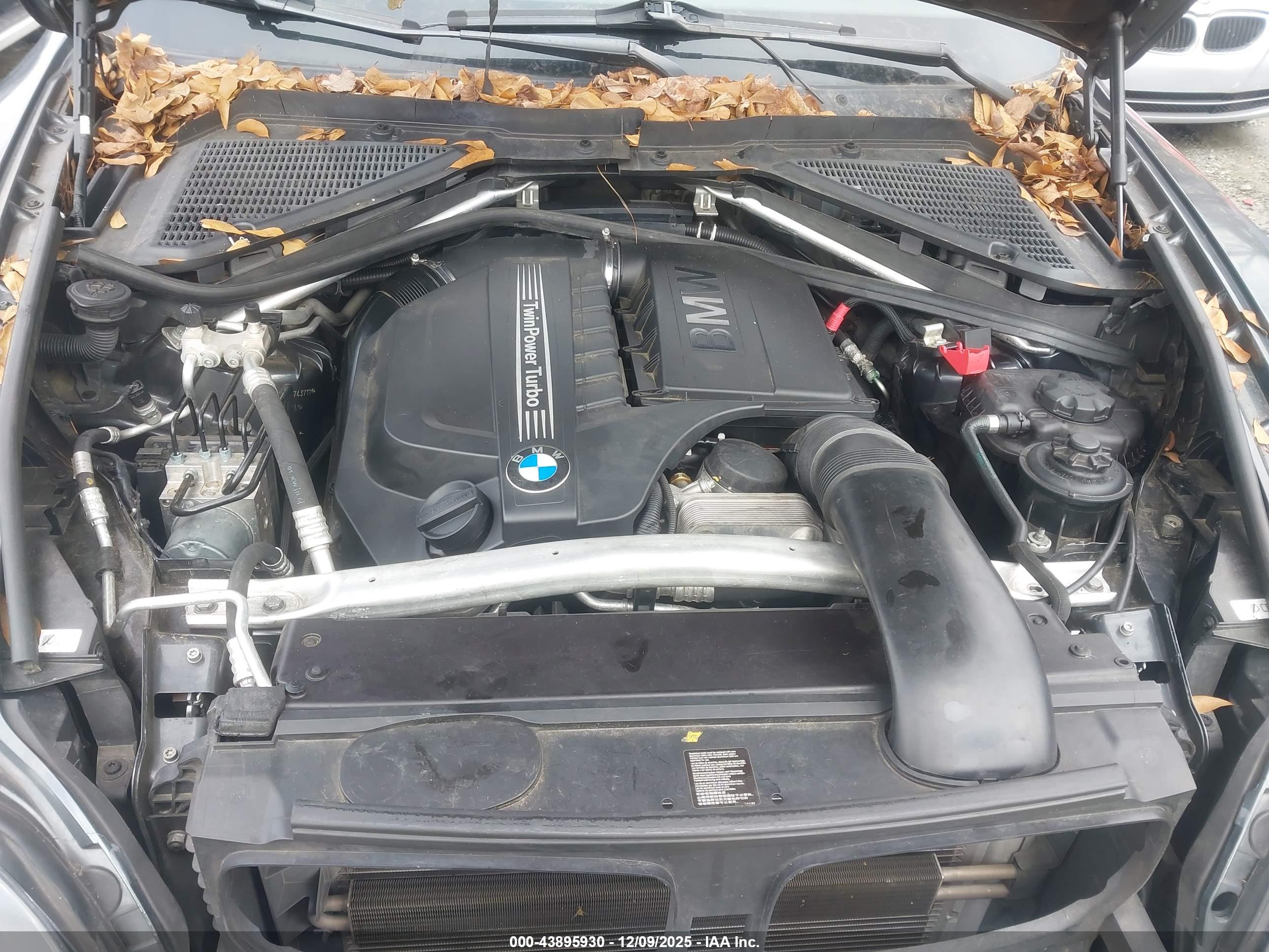 BMW X5 image 10