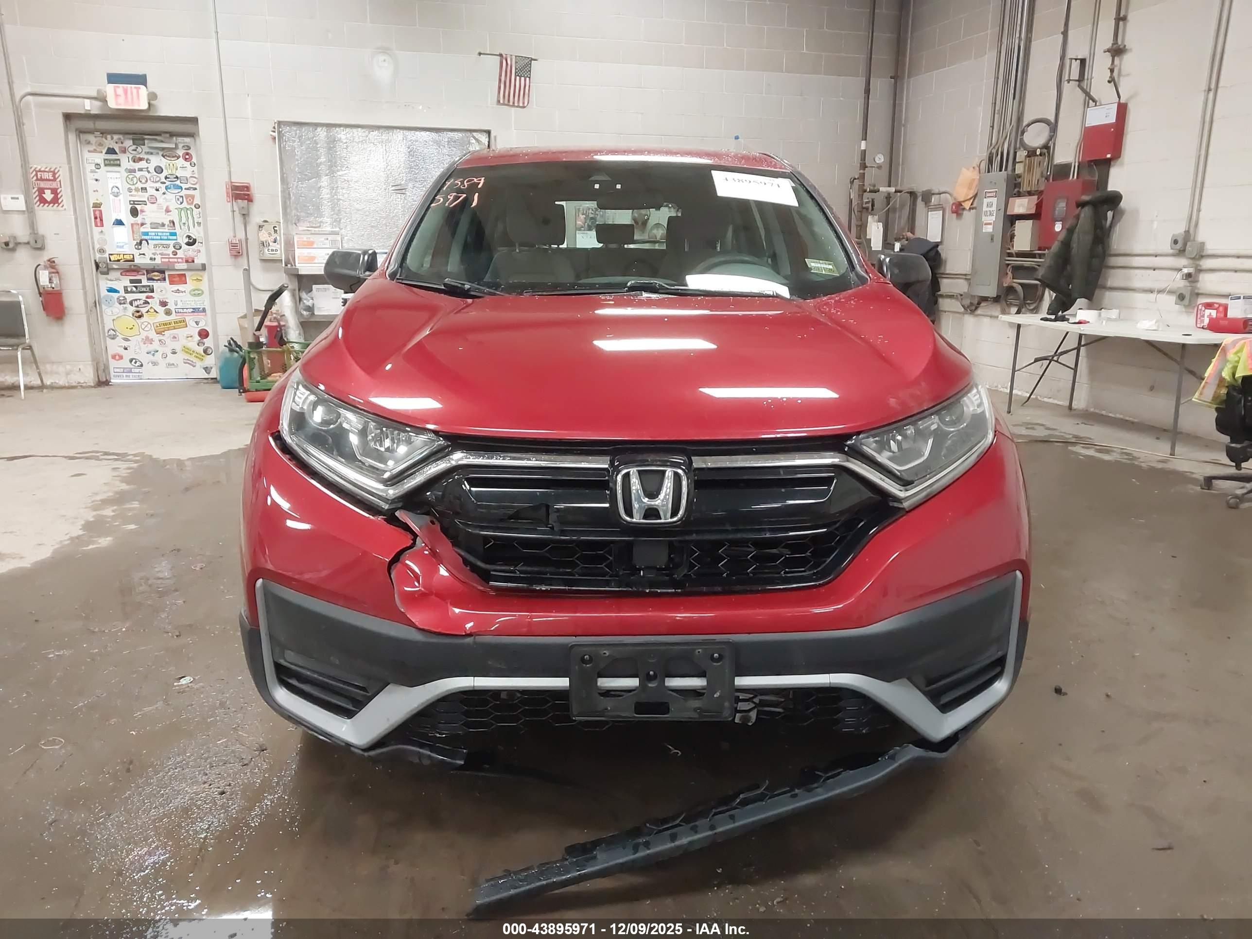 HONDA CR-V image 6