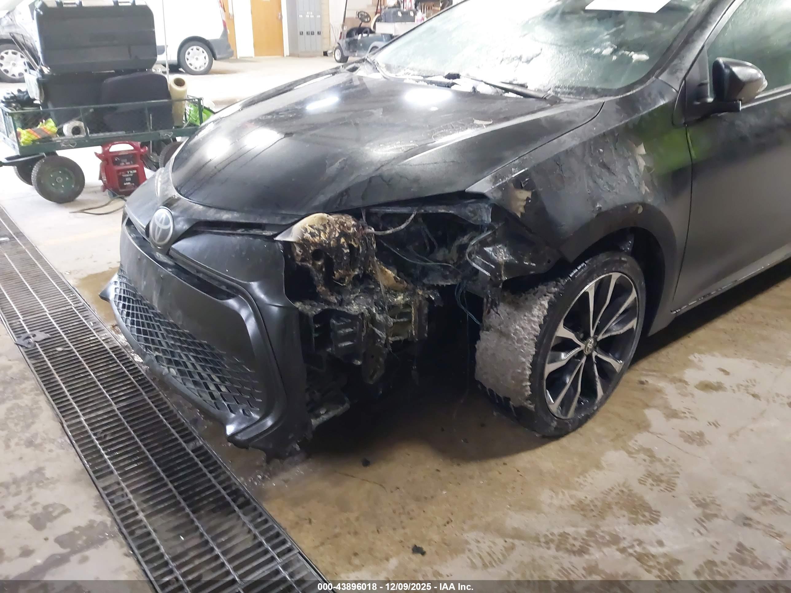 TOYOTA COROLLA image 6