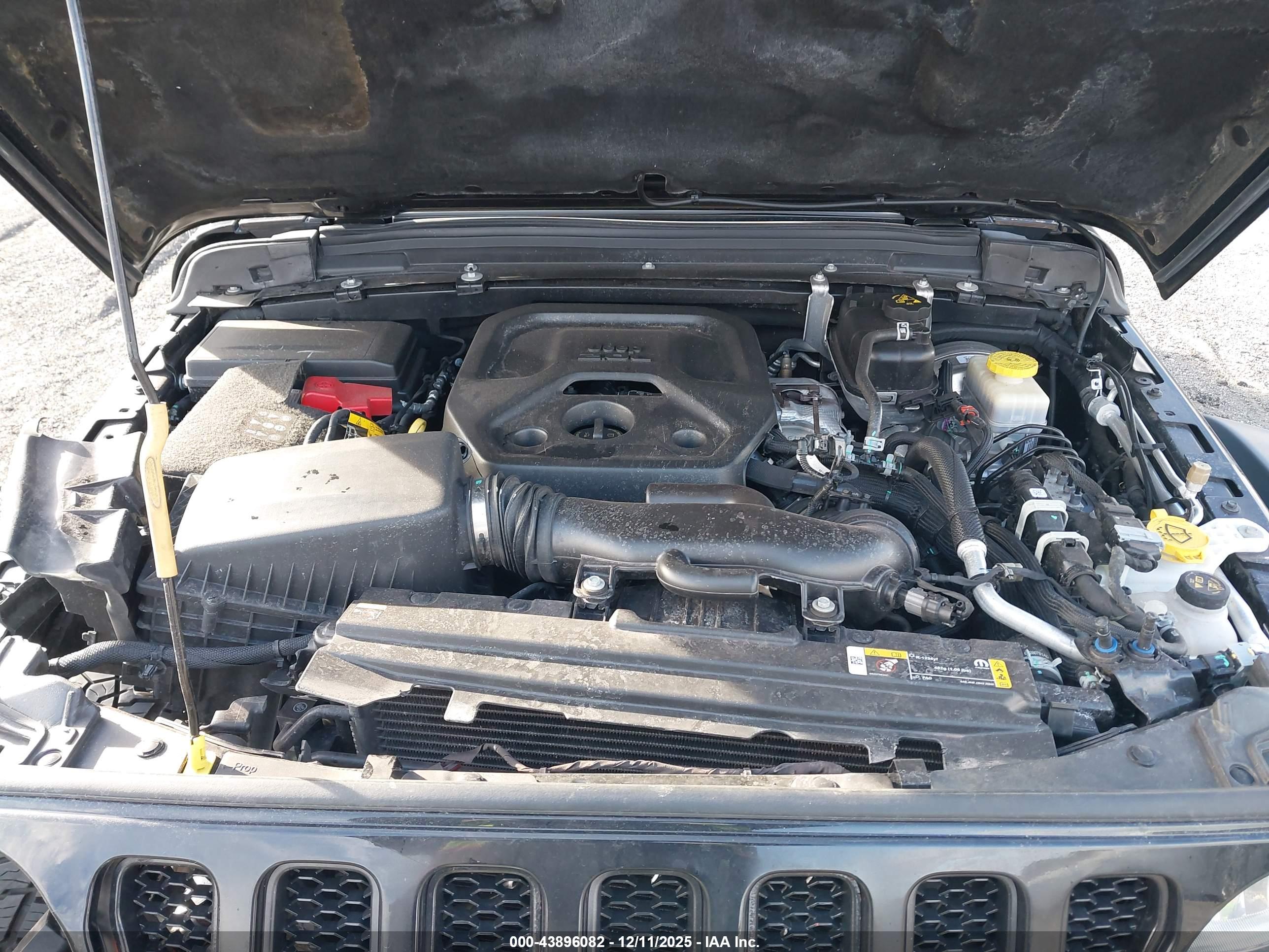 JEEP WRANGLER image 10
