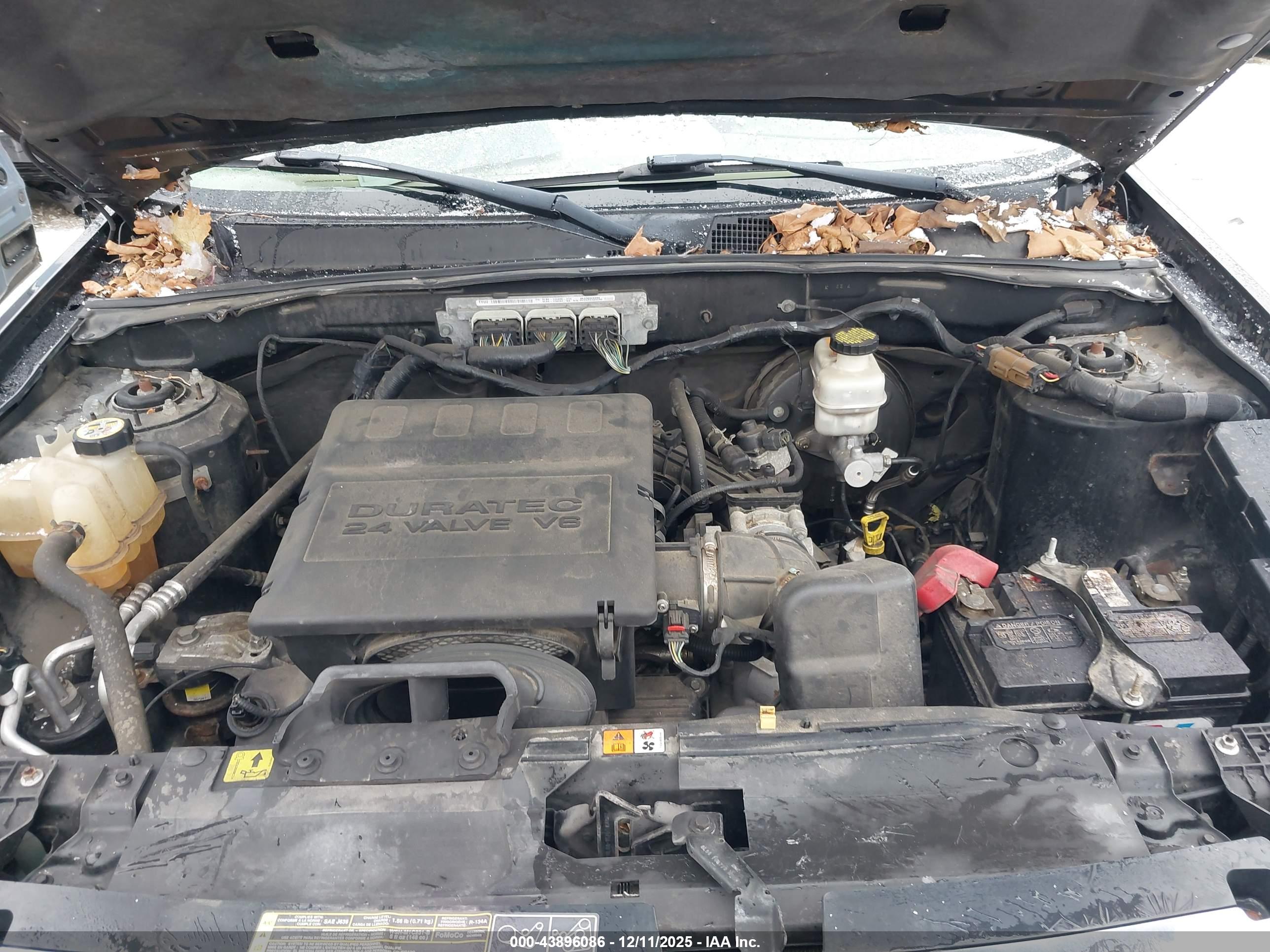 FORD ESCAPE image 10