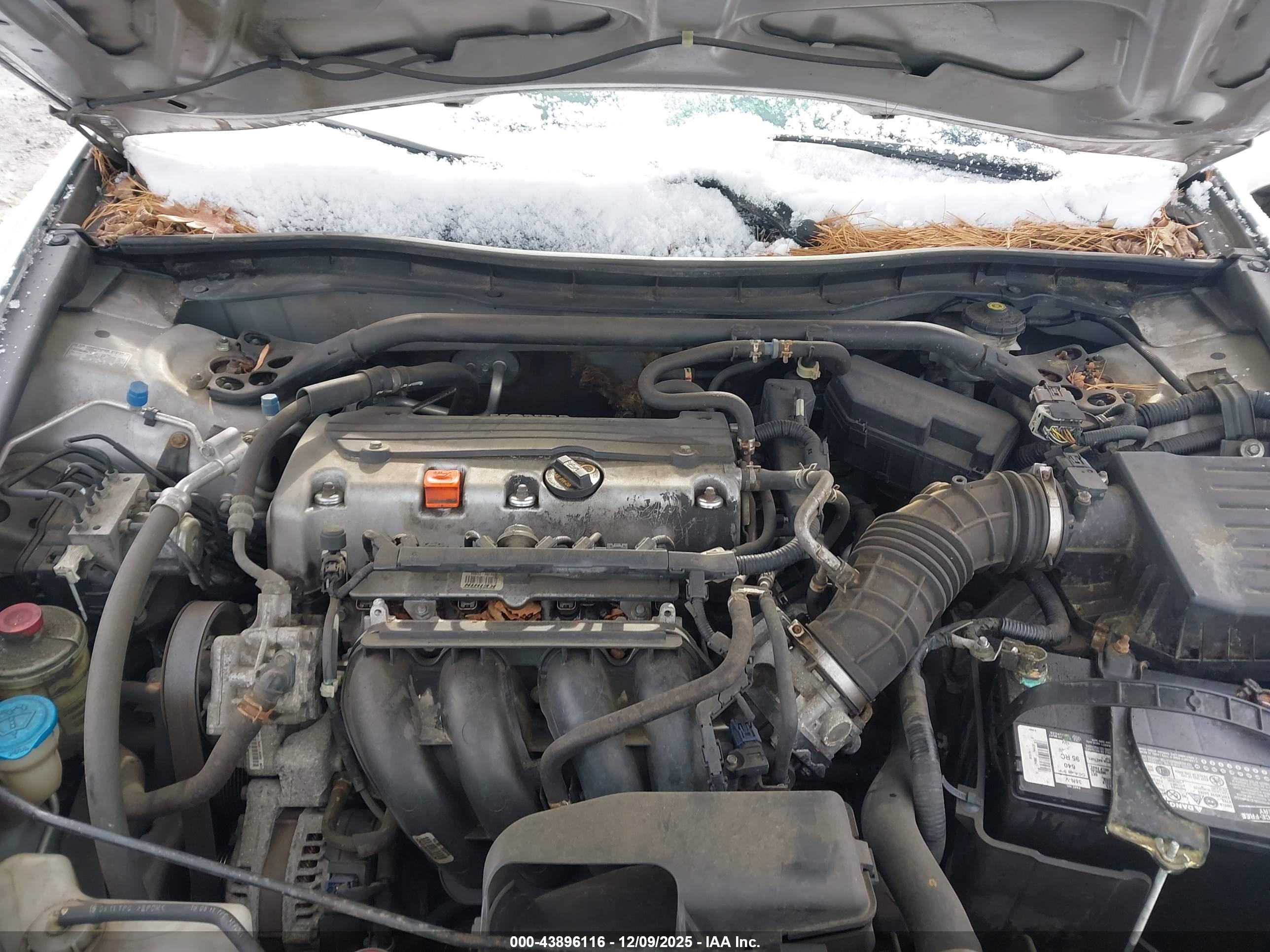 HONDA ACCORD image 10