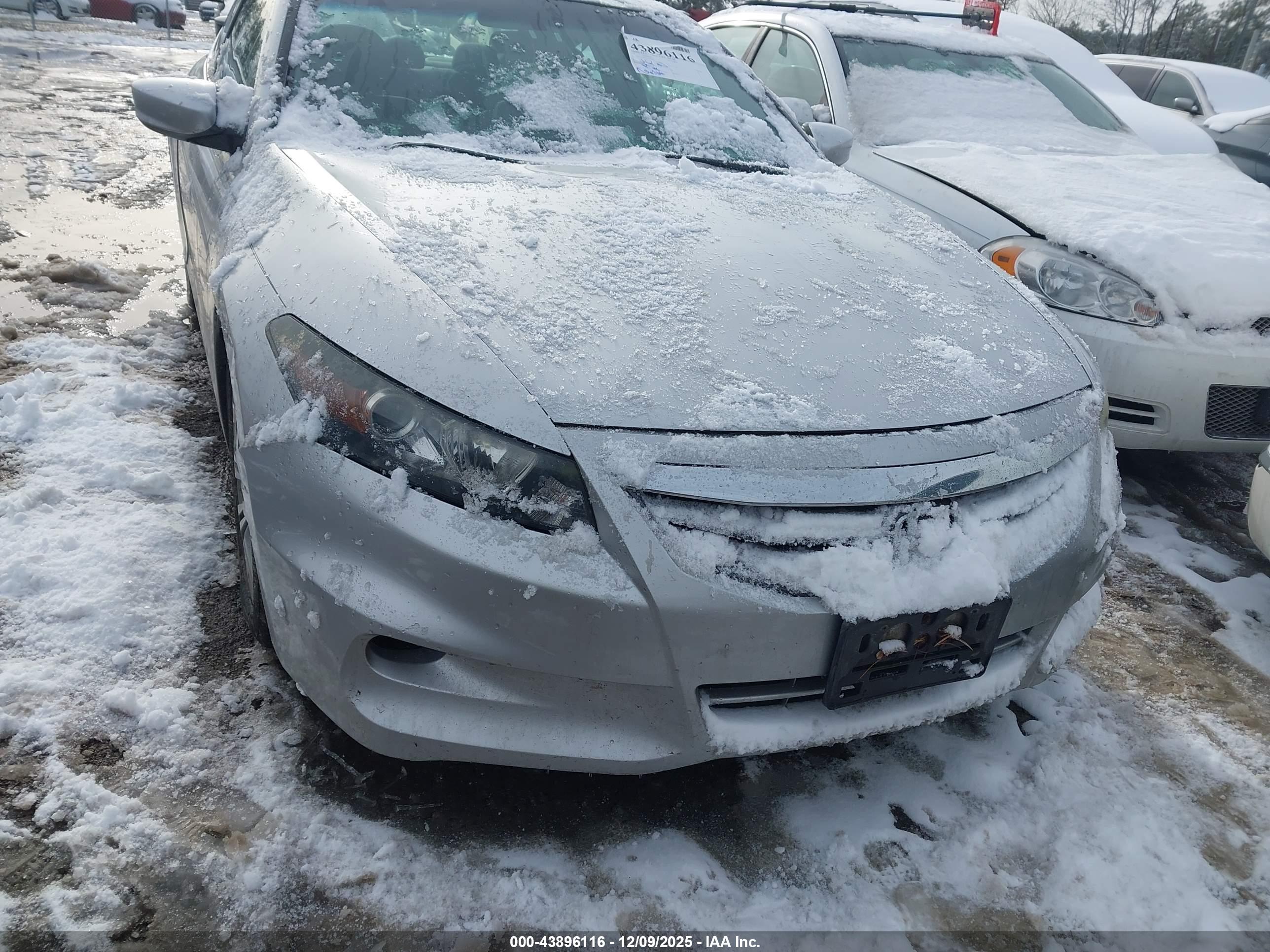 HONDA ACCORD image 6
