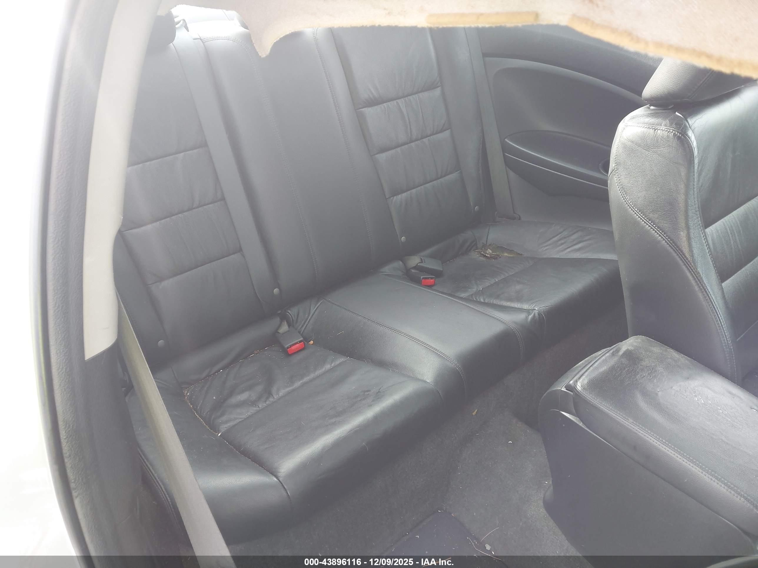 HONDA ACCORD image 8